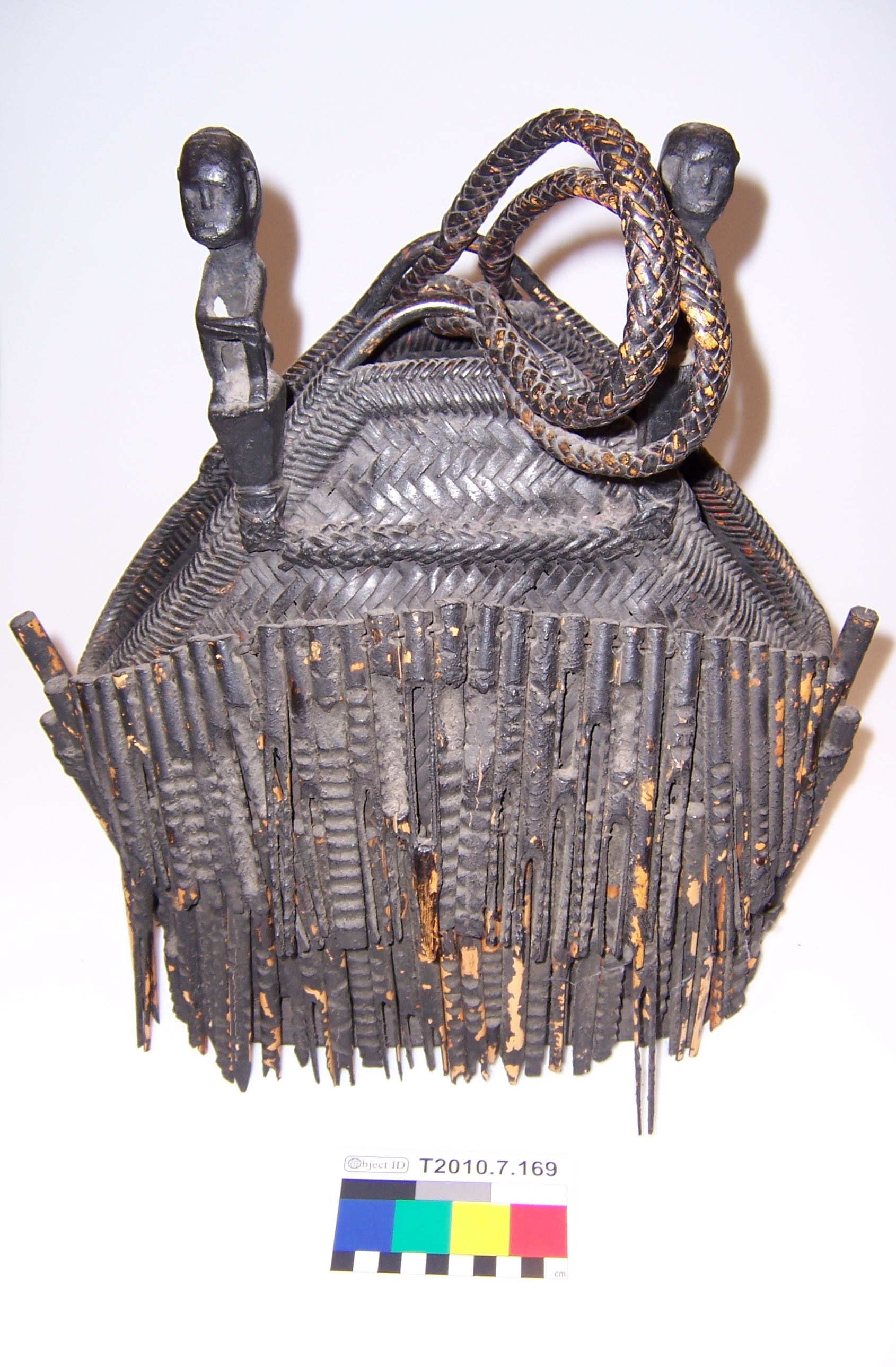 Incoming photograph. (c) Field Museum of Natural History - CC BY-NC 4.0