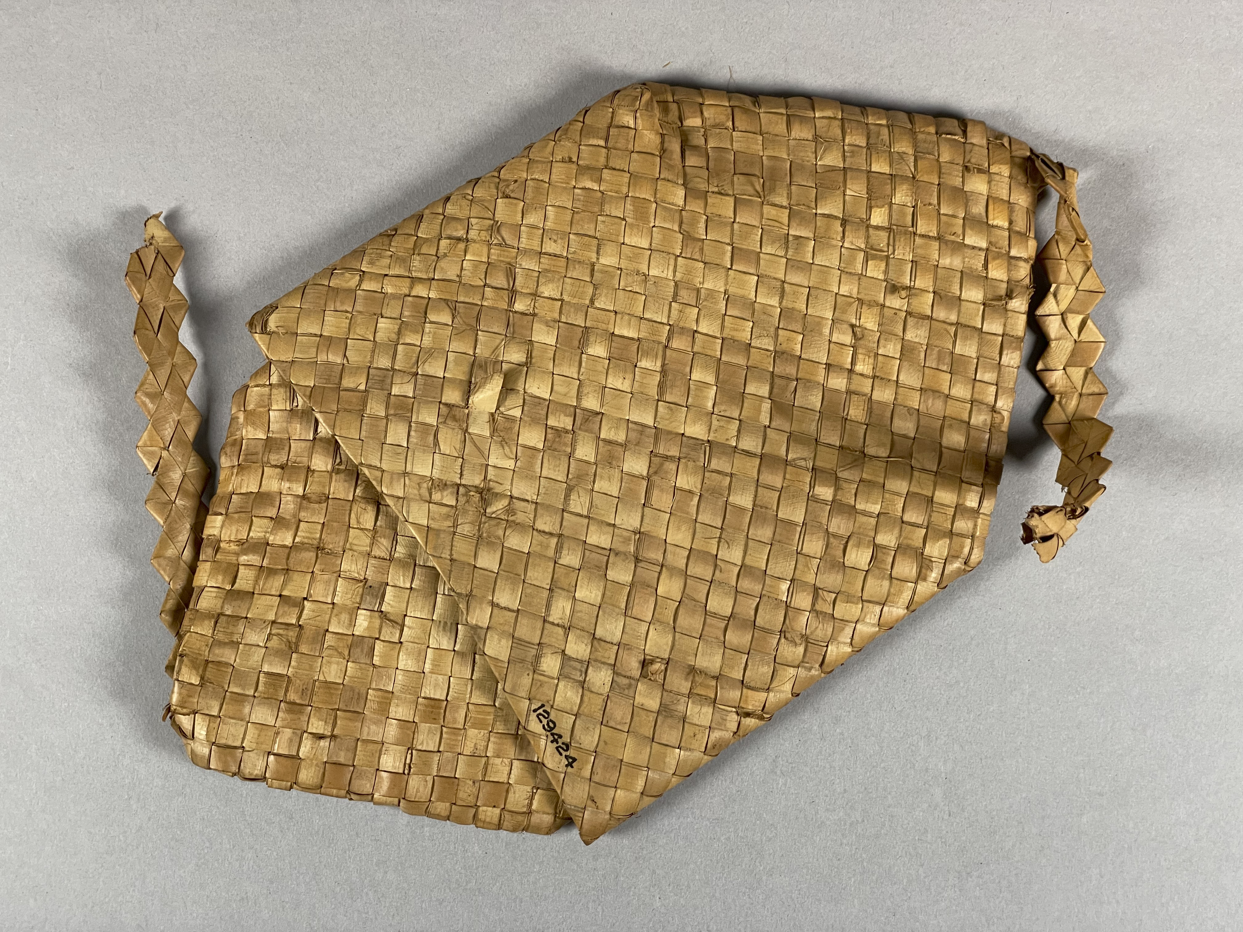 overall view closed (c) Field Museum of Natural History - CC BY-NC 4.0