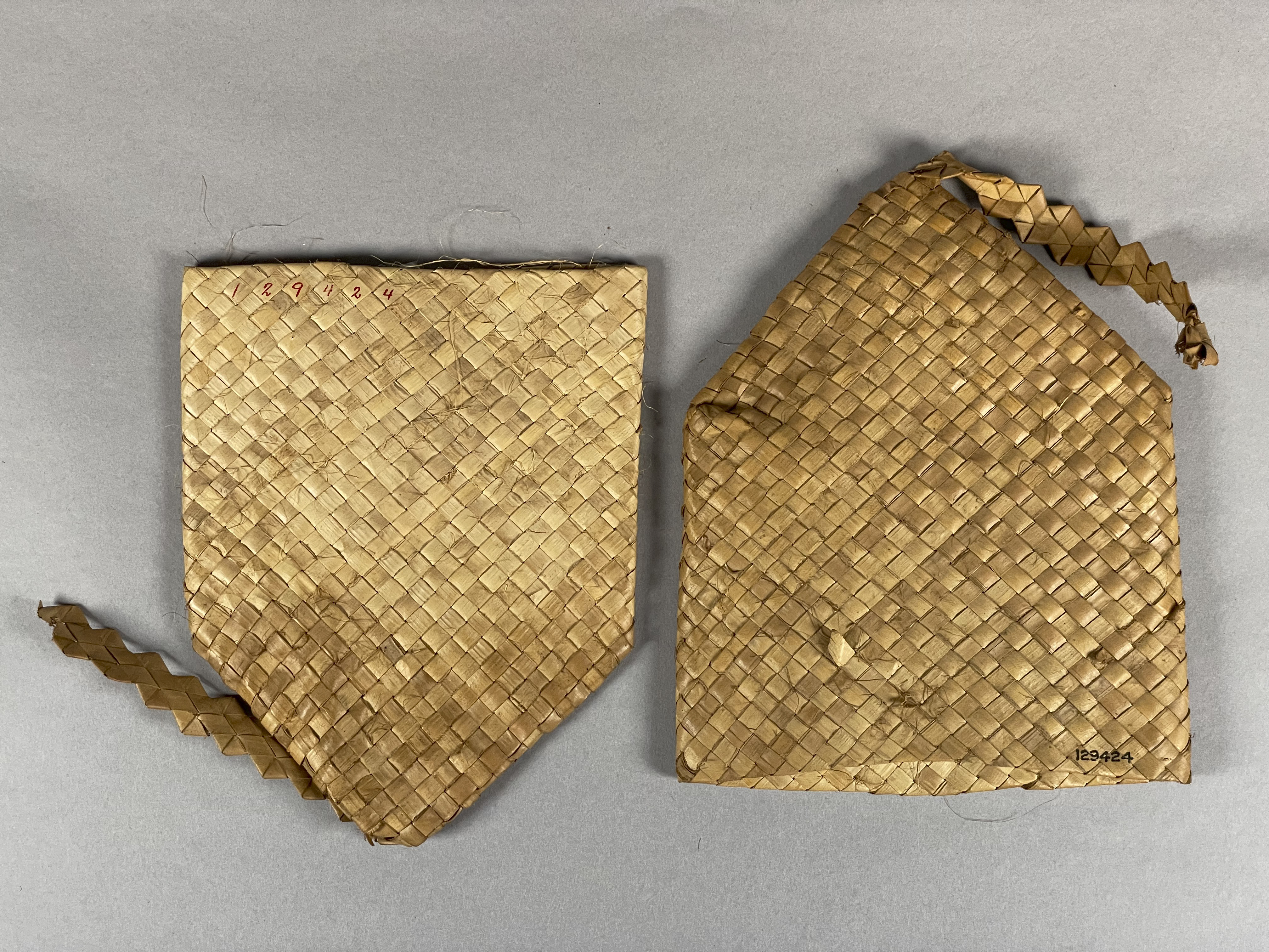 overall view opened (c) Field Museum of Natural History - CC BY-NC 4.0