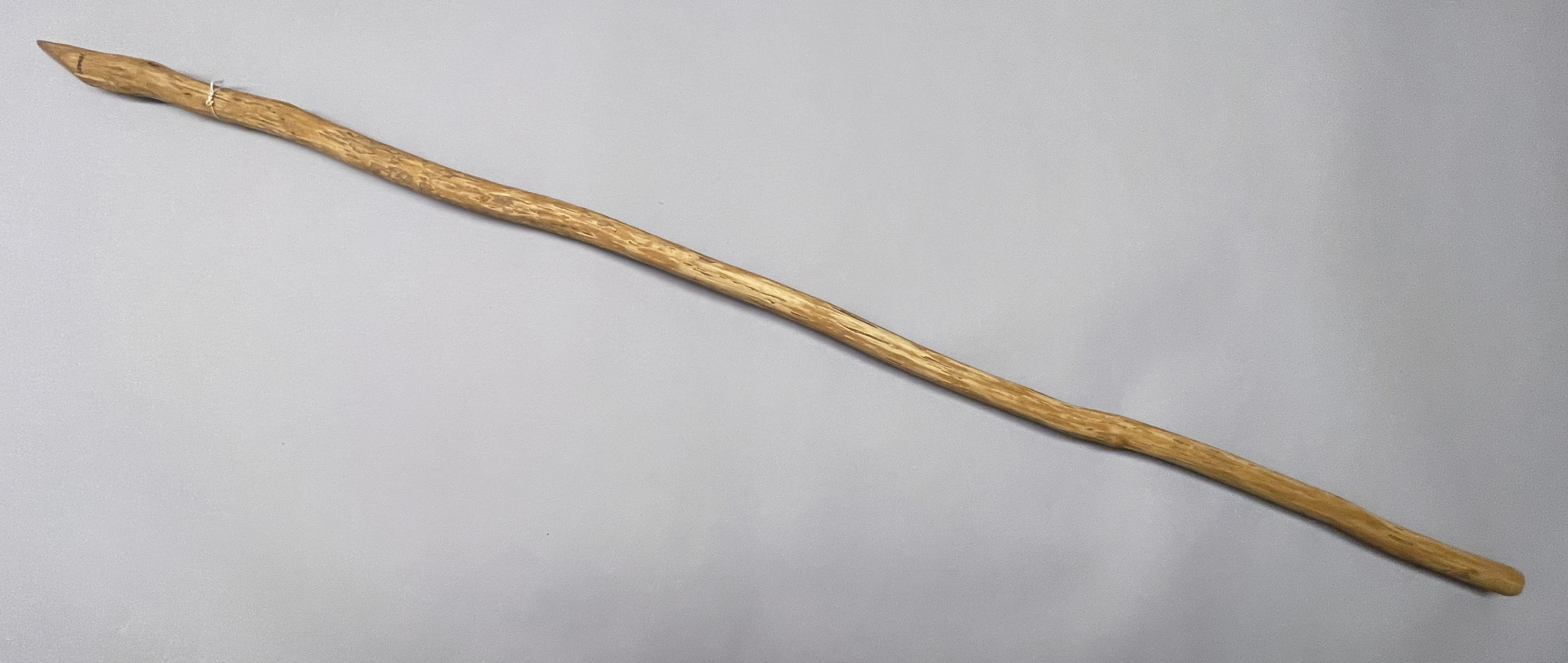 overall view (c) Field Museum of Natural History - CC BY-NC 4.0