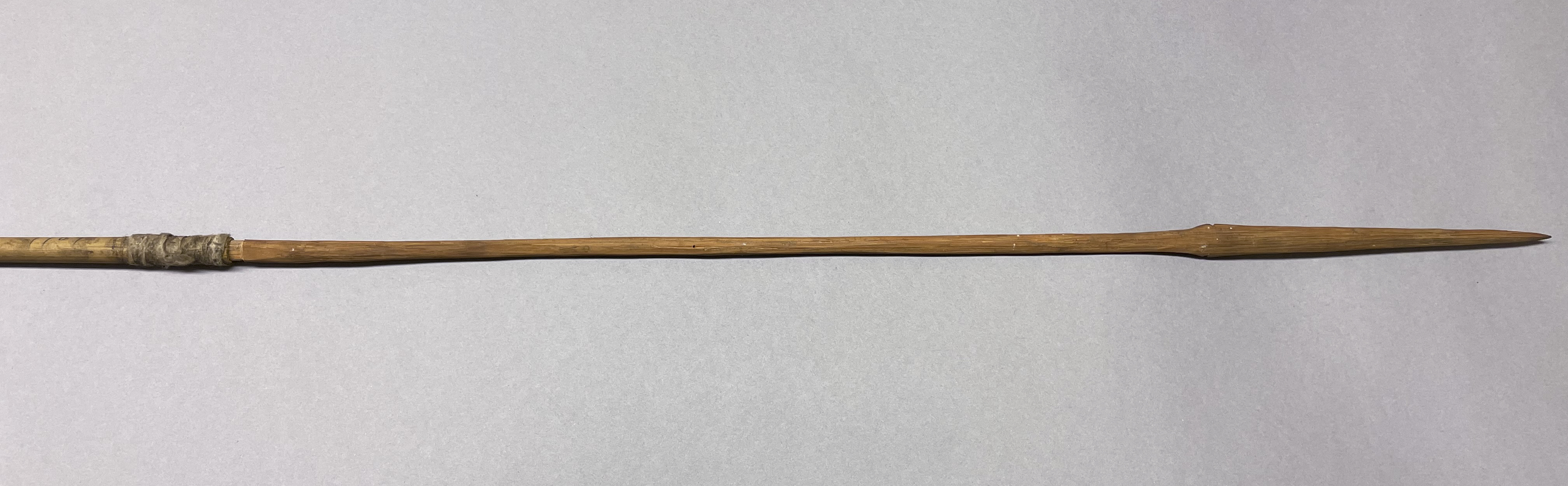 detail view of arrow (c) Field Museum of Natural History - CC BY-NC 4.0