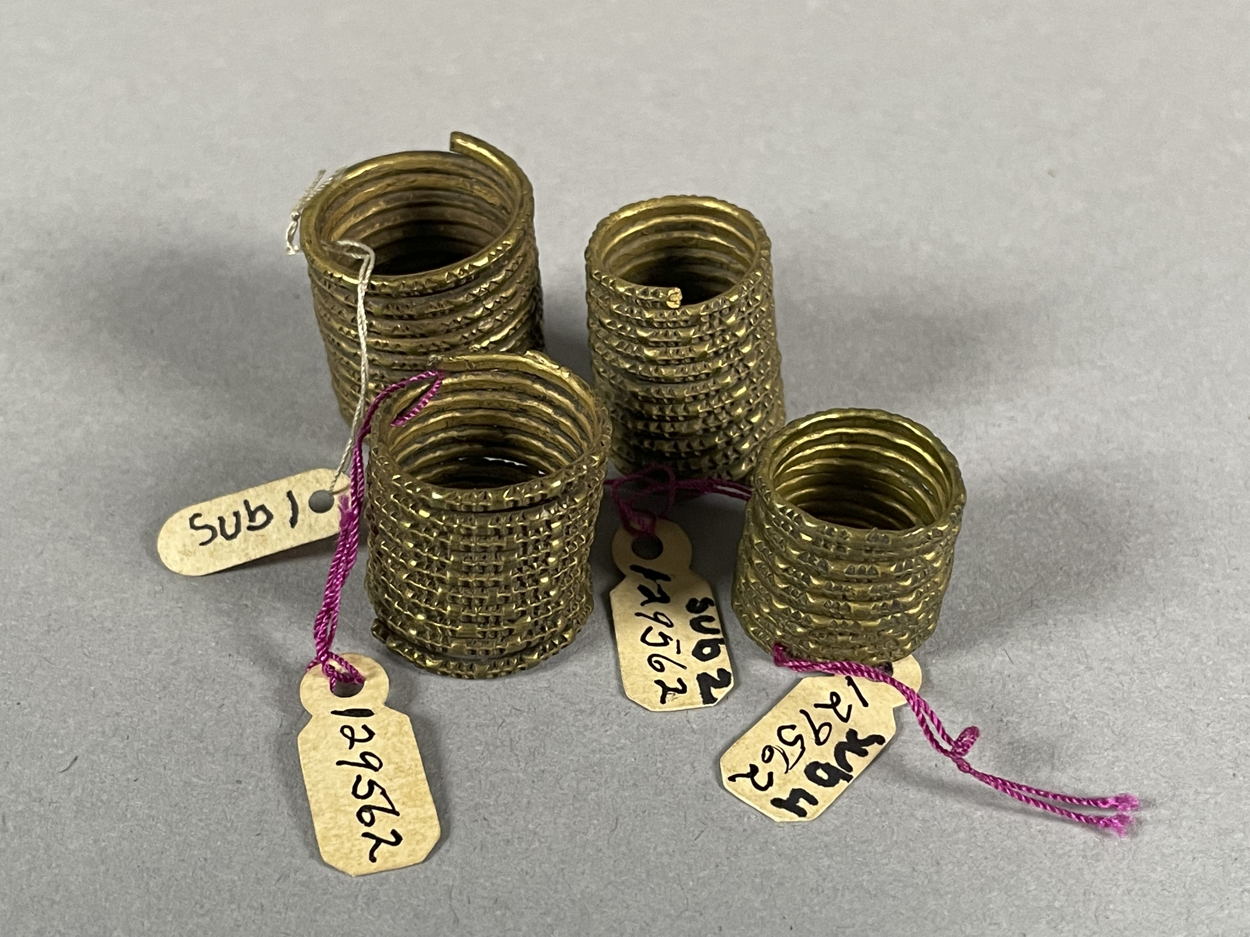 overall view (c) Field Museum of Natural History - CC BY-NC 4.0