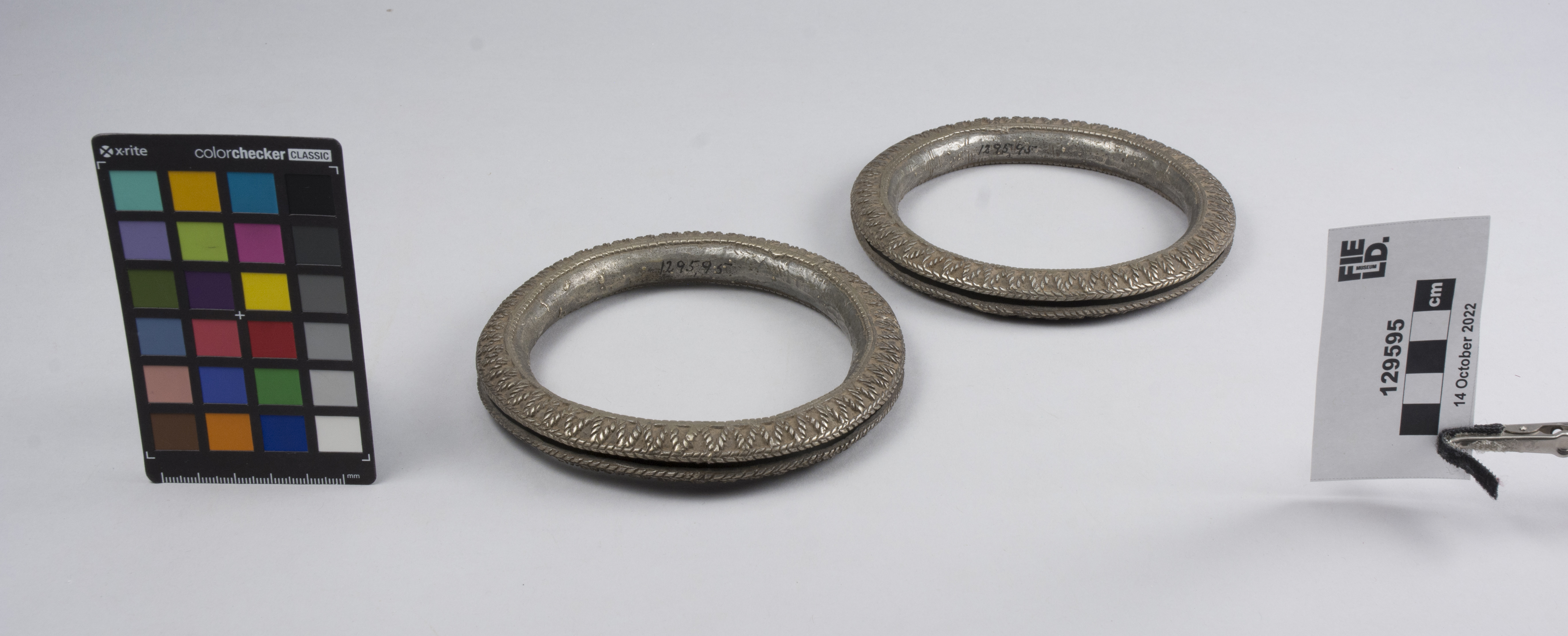 overall view (c) Field Museum of Natural History - CC BY-NC 4.0