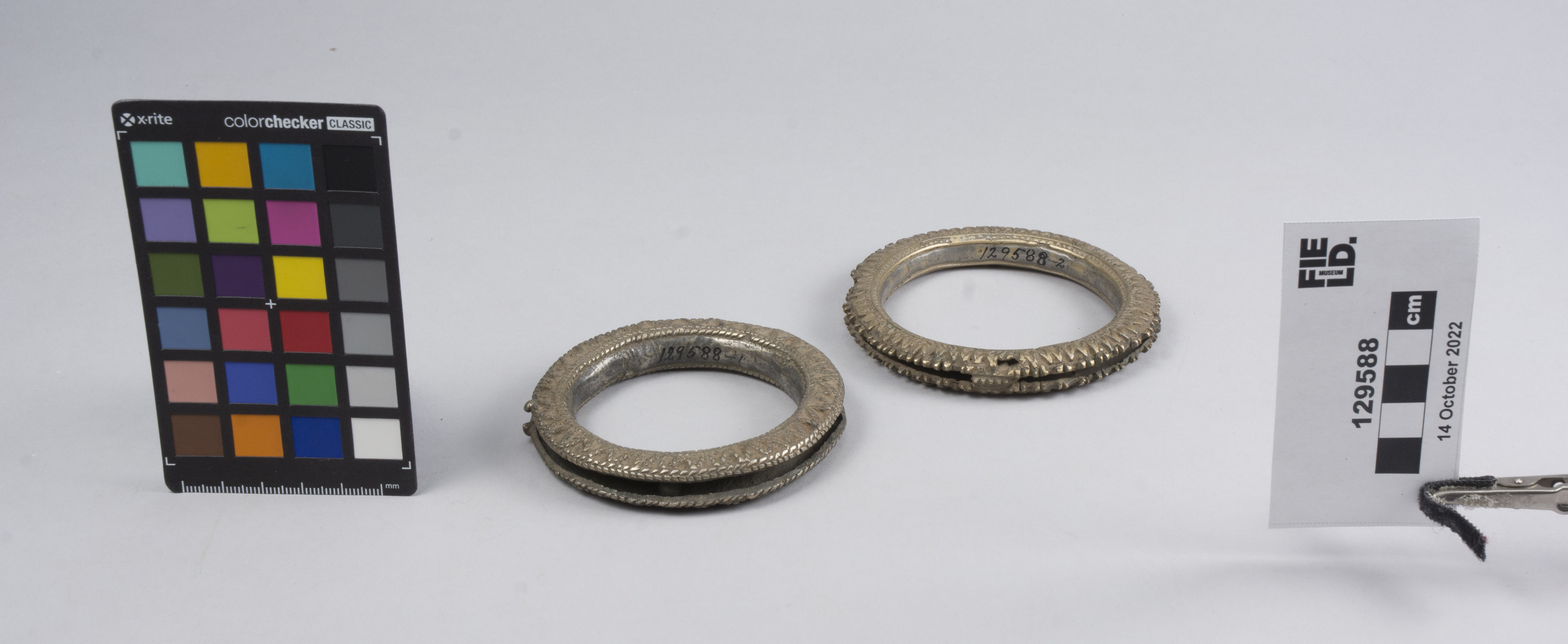 overall view (c) Field Museum of Natural History - CC BY-NC 4.0