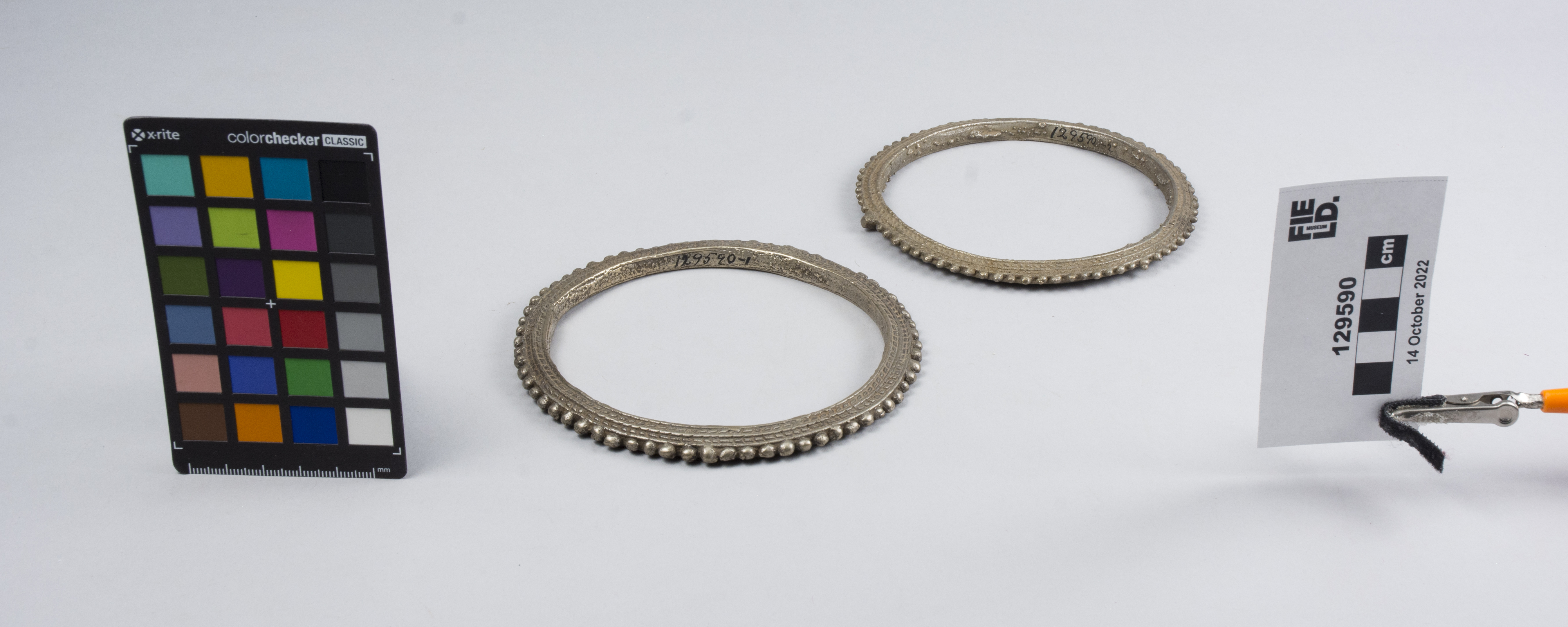 overall view (c) Field Museum of Natural History - CC BY-NC 4.0