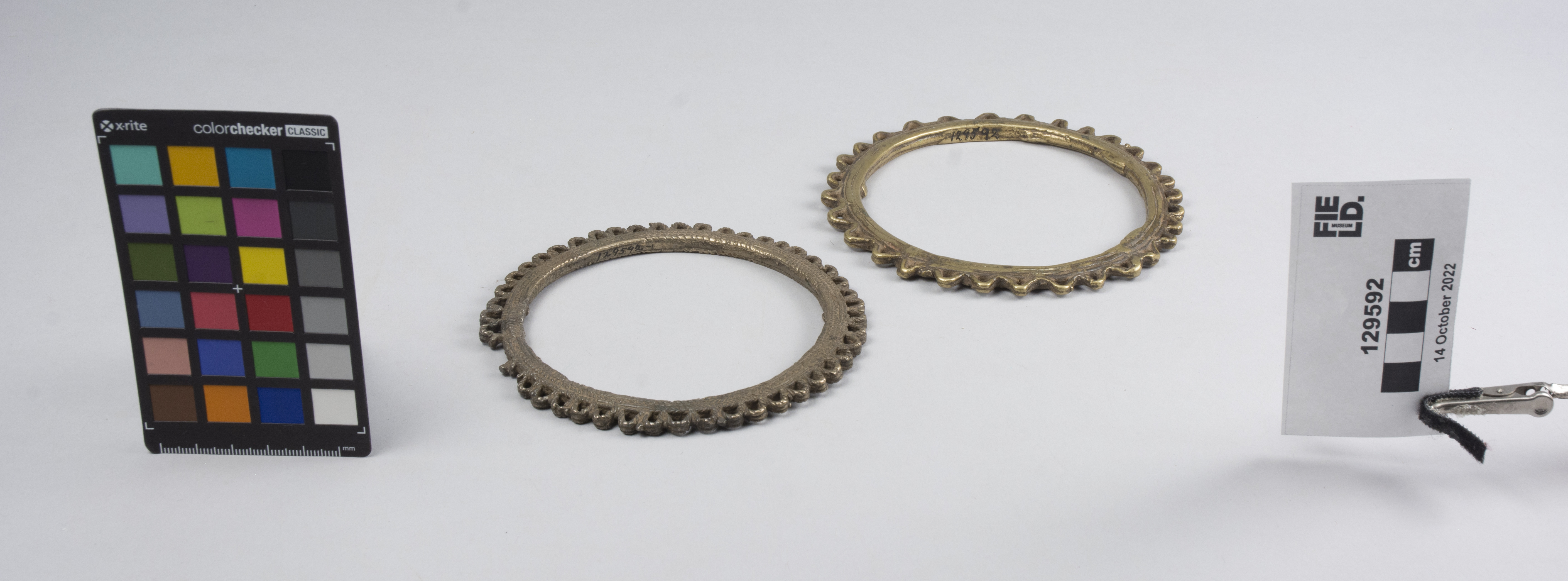 overall view (c) Field Museum of Natural History - CC BY-NC 4.0