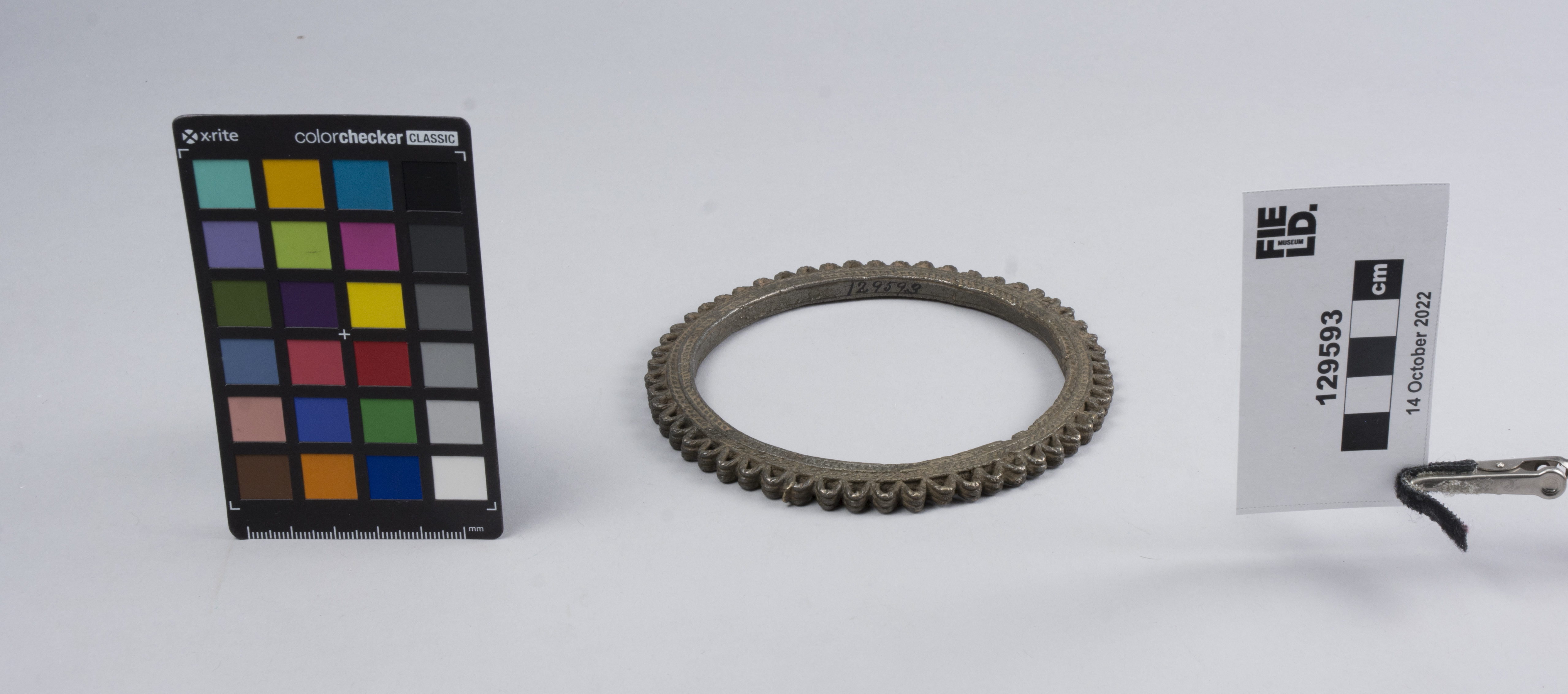 overall view (c) Field Museum of Natural History - CC BY-NC 4.0