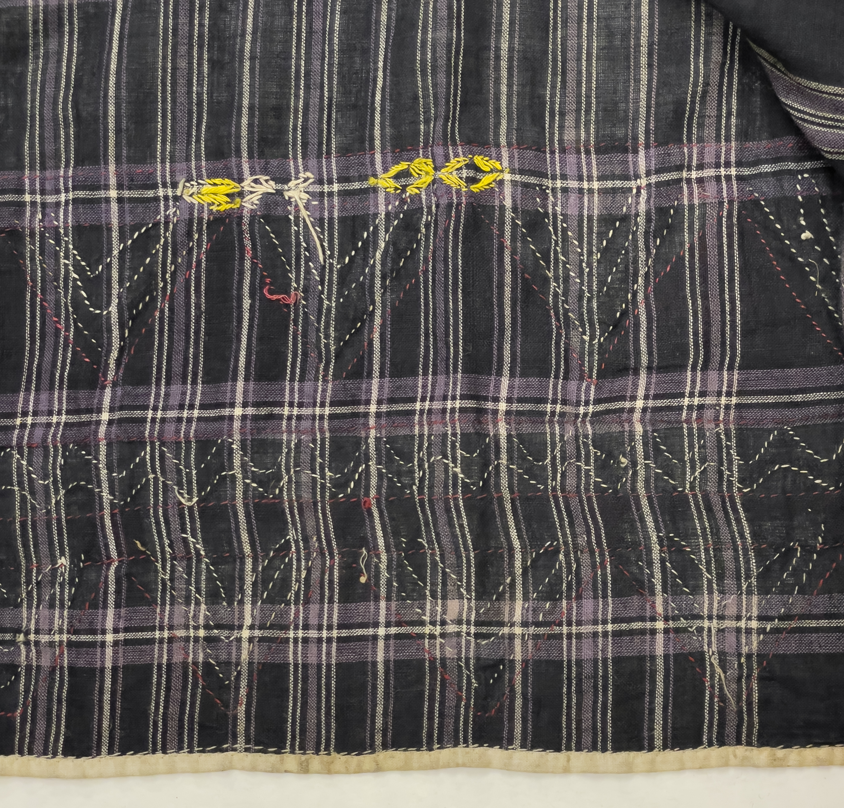 detail view of hem interior (c) Field Museum of Natural History - CC BY-NC 4.0