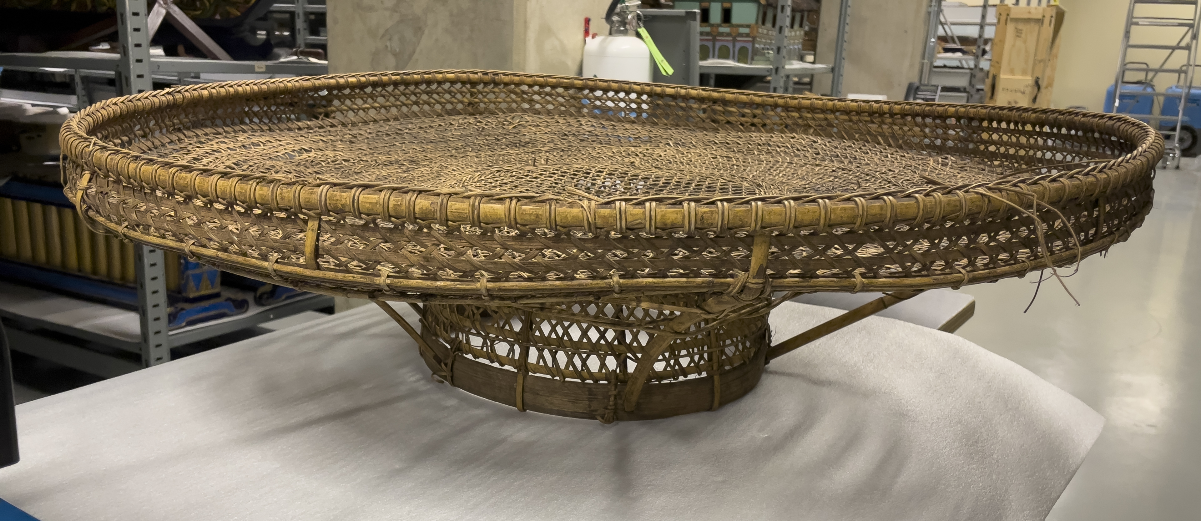 overall view (c) Field Museum of Natural History - CC BY-NC 4.0