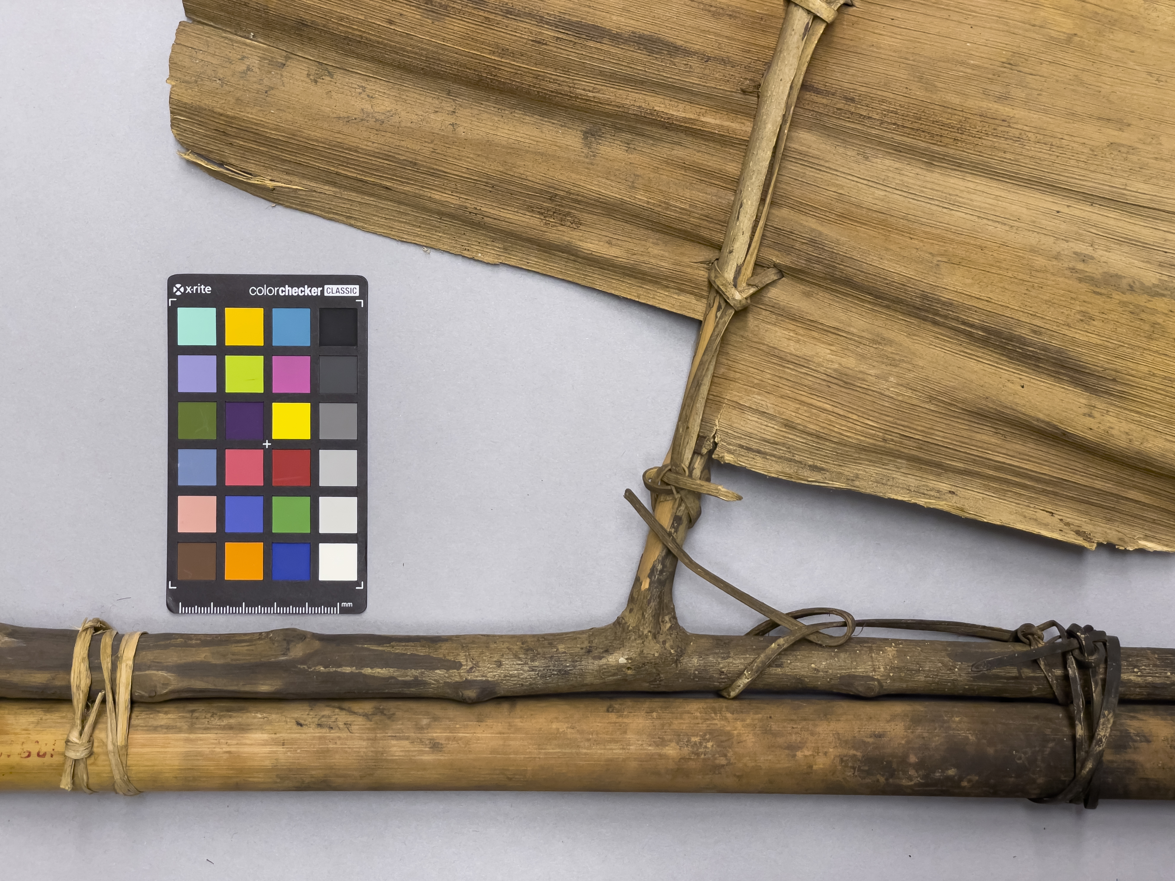 detail view of side two (c) Field Museum of Natural History - CC BY-NC 4.0