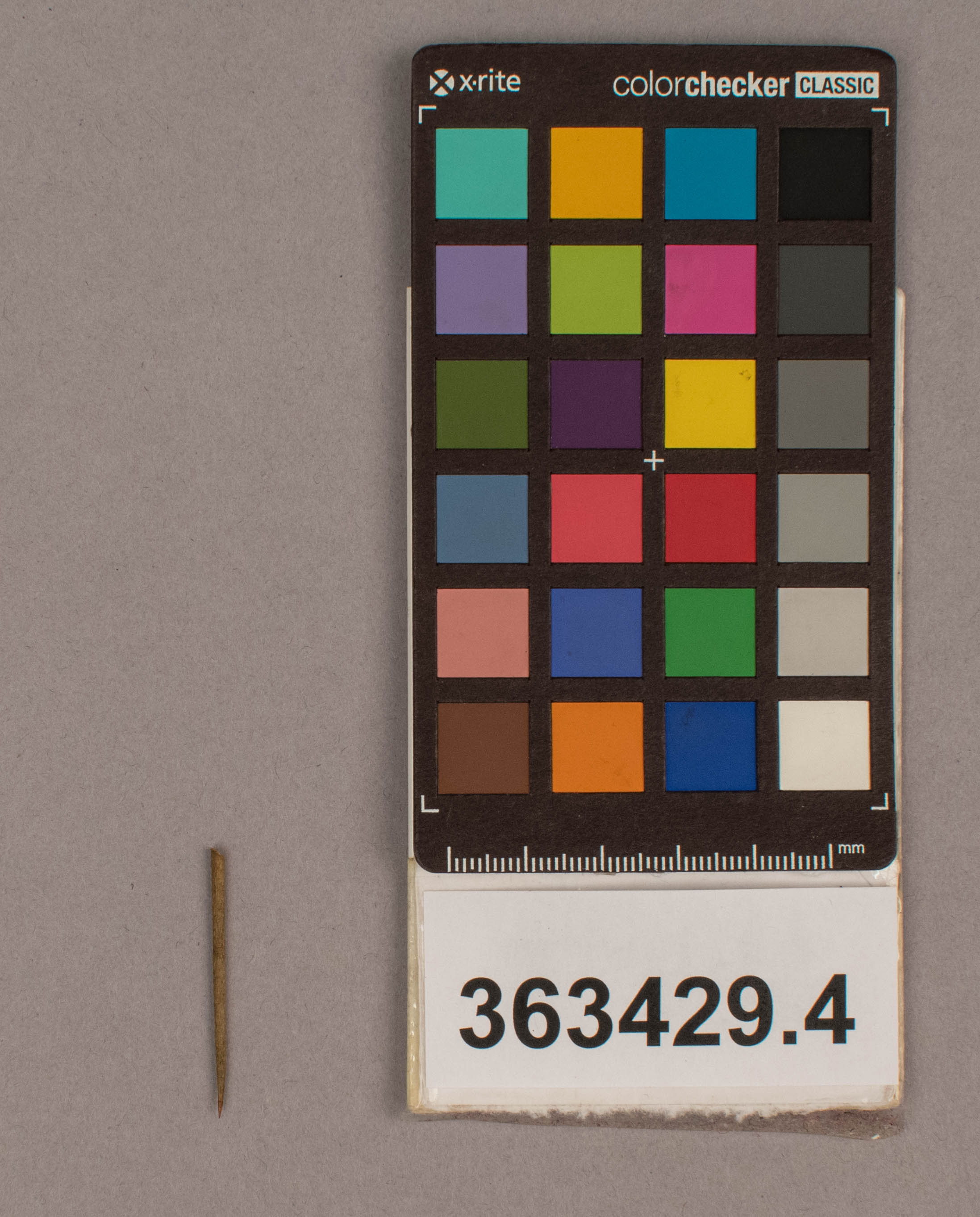 reference image, overall (c) Field Museum of Natural History - CC BY-NC 4.0