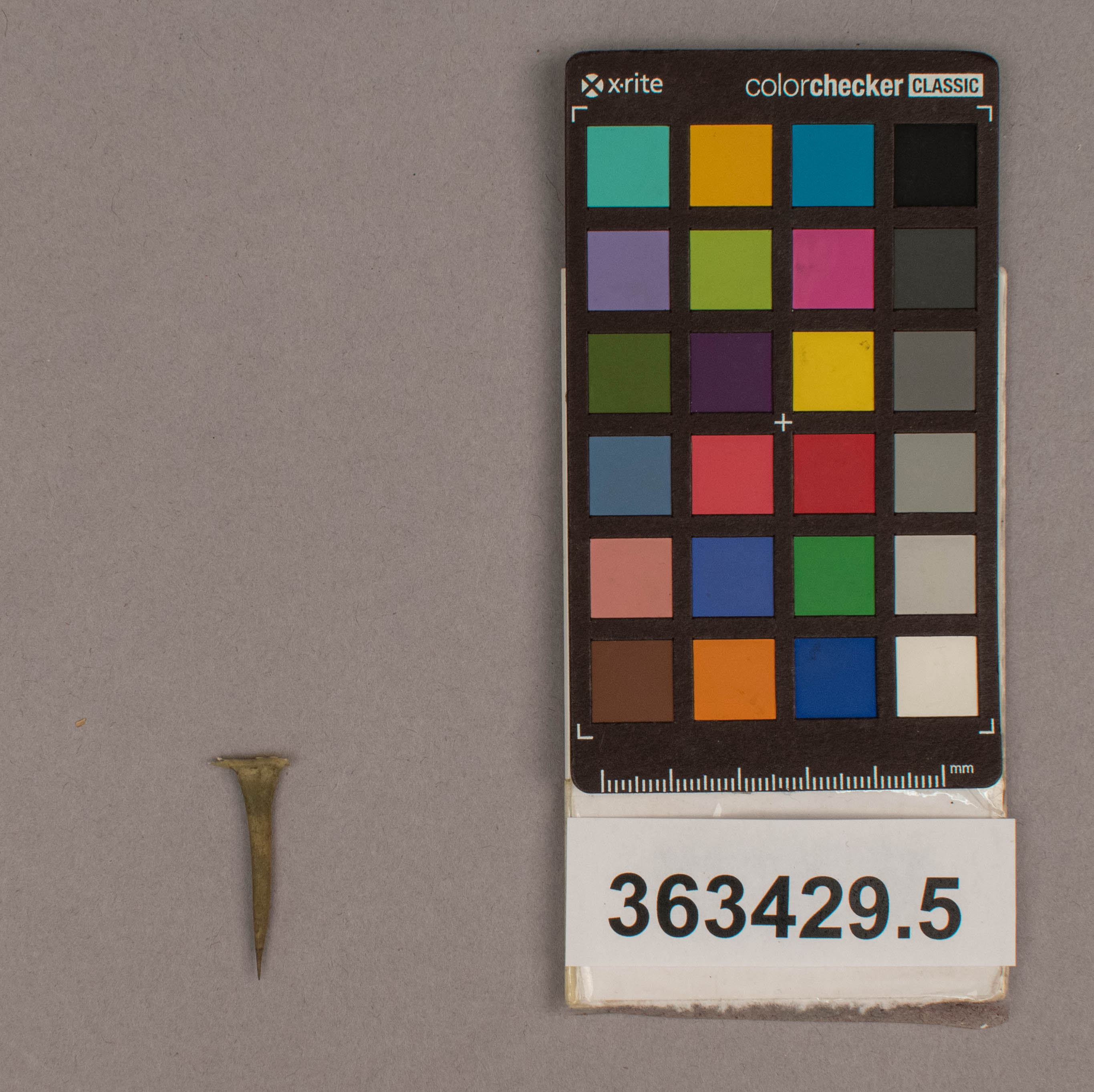 reference image, overall (c) Field Museum of Natural History - CC BY-NC 4.0