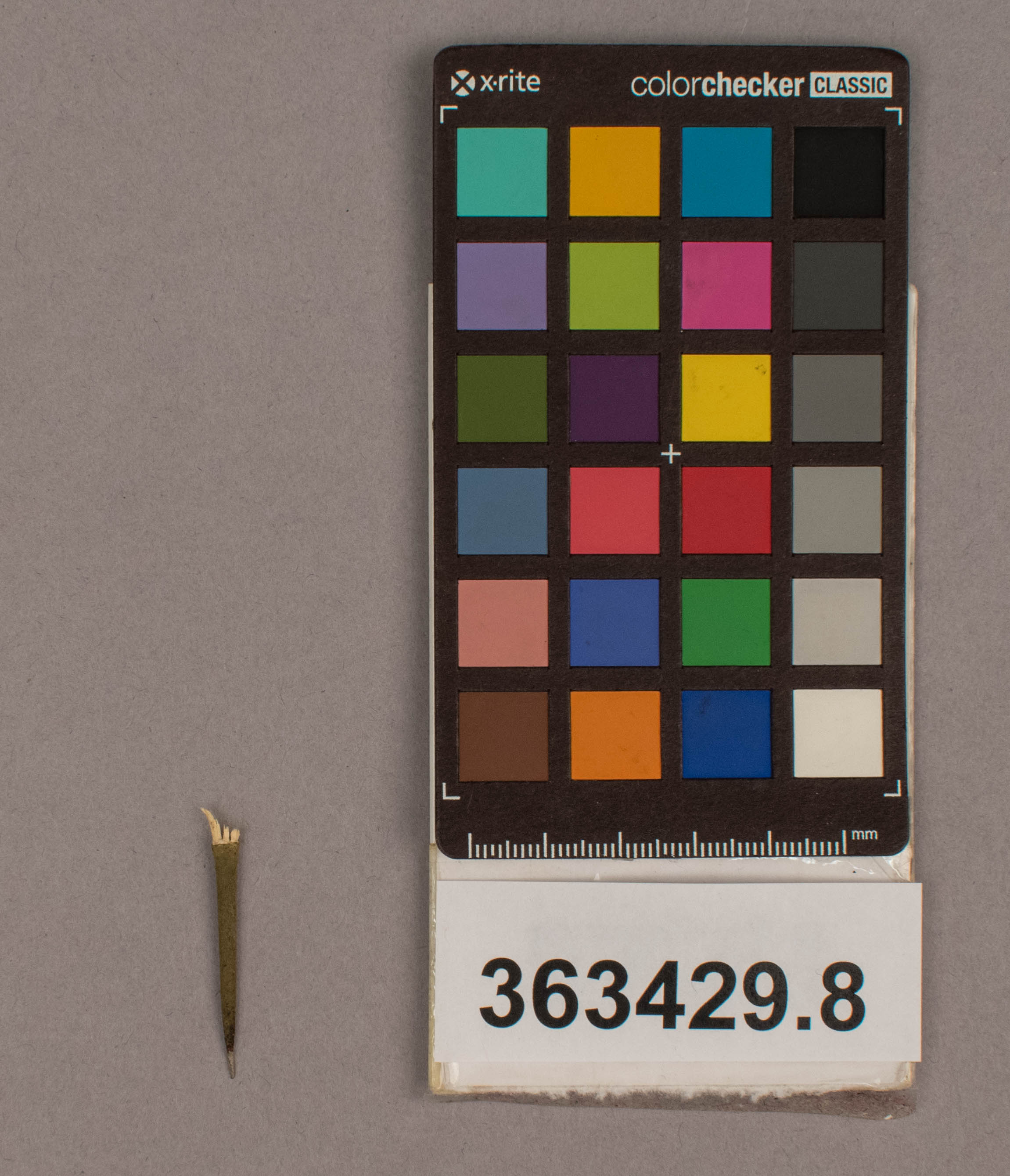reference image, overall (c) Field Museum of Natural History - CC BY-NC 4.0