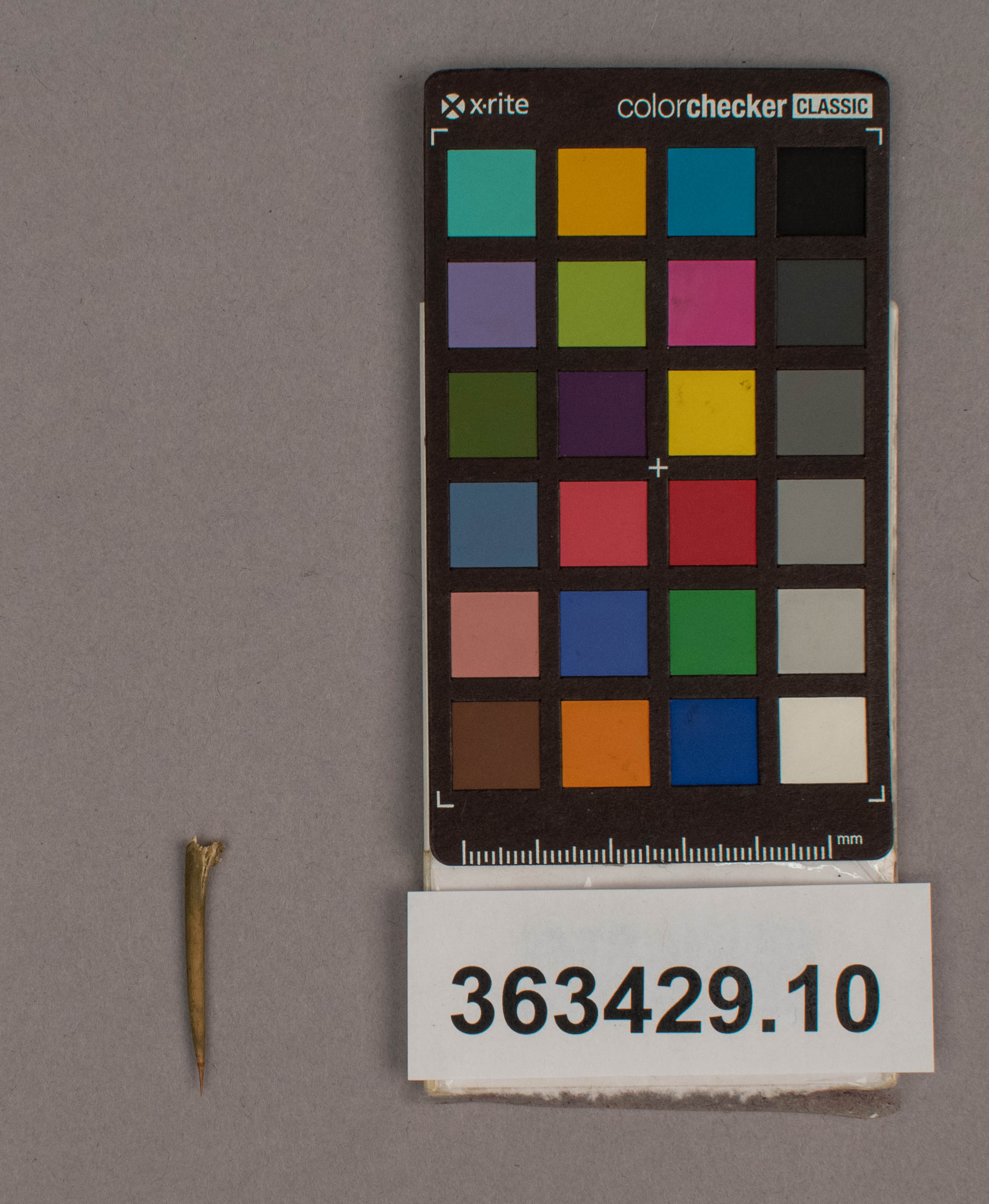 reference image, overall (c) Field Museum of Natural History - CC BY-NC 4.0