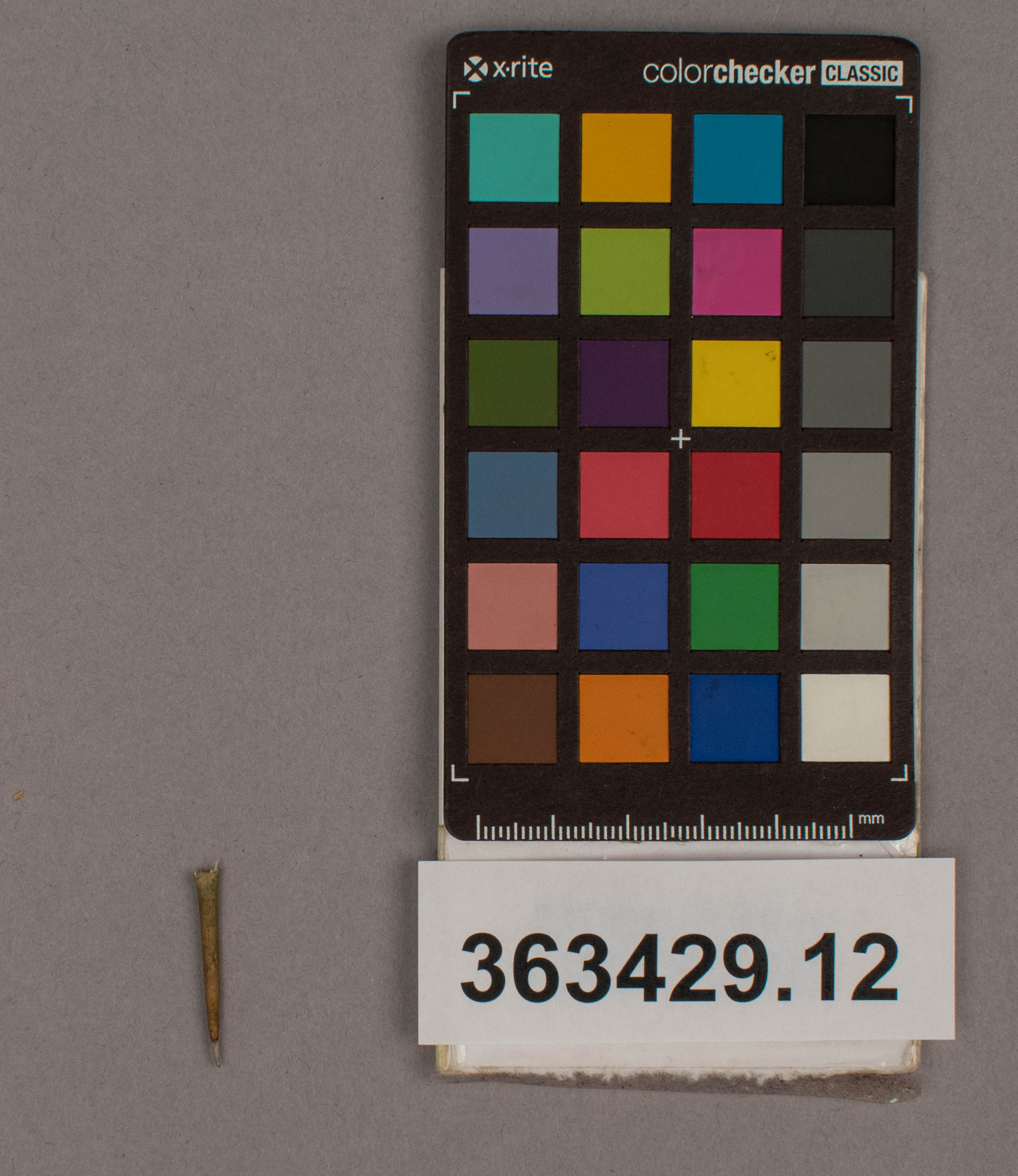reference image, overall (c) Field Museum of Natural History - CC BY-NC 4.0