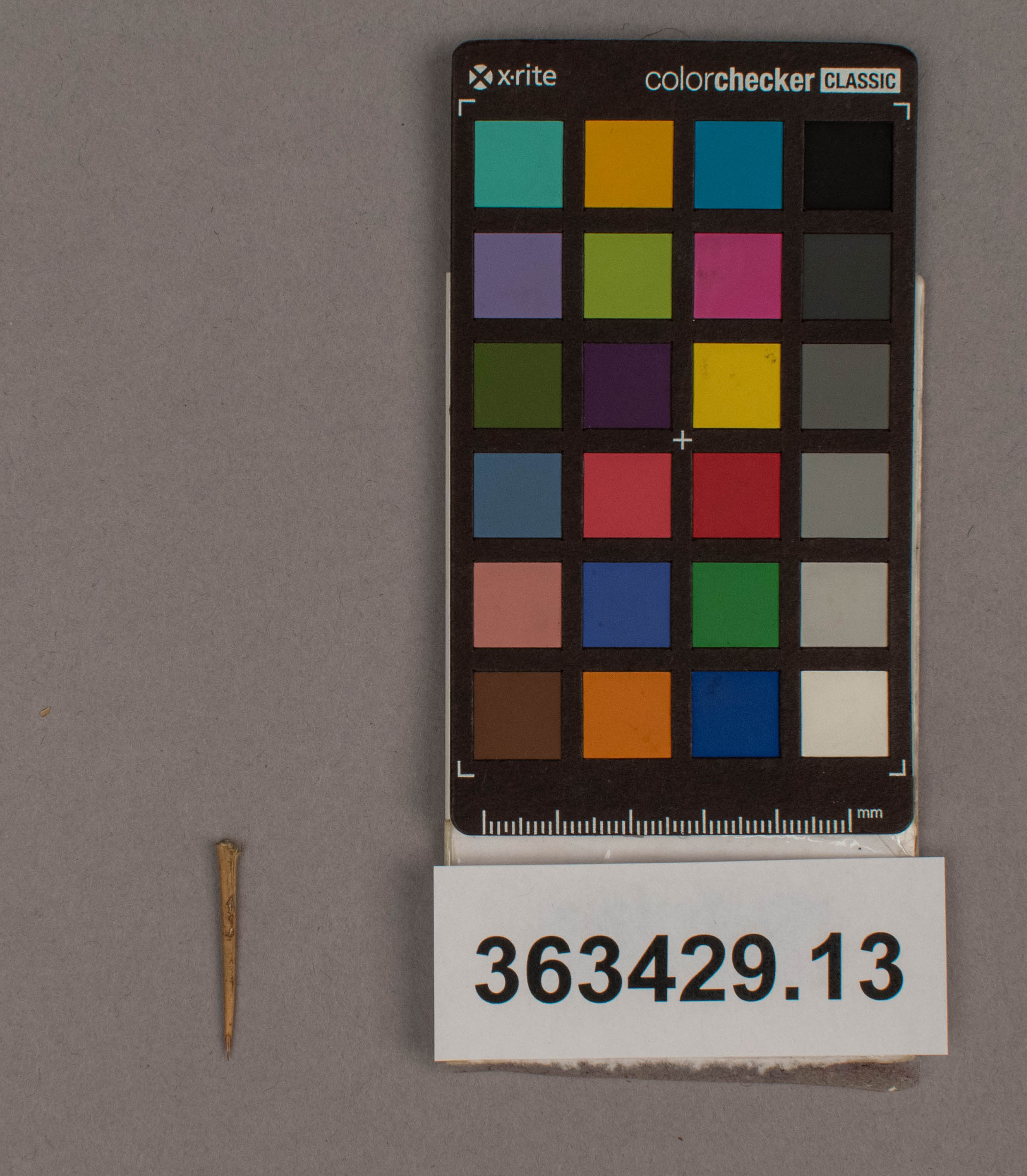 reference image, overall (c) Field Museum of Natural History - CC BY-NC 4.0