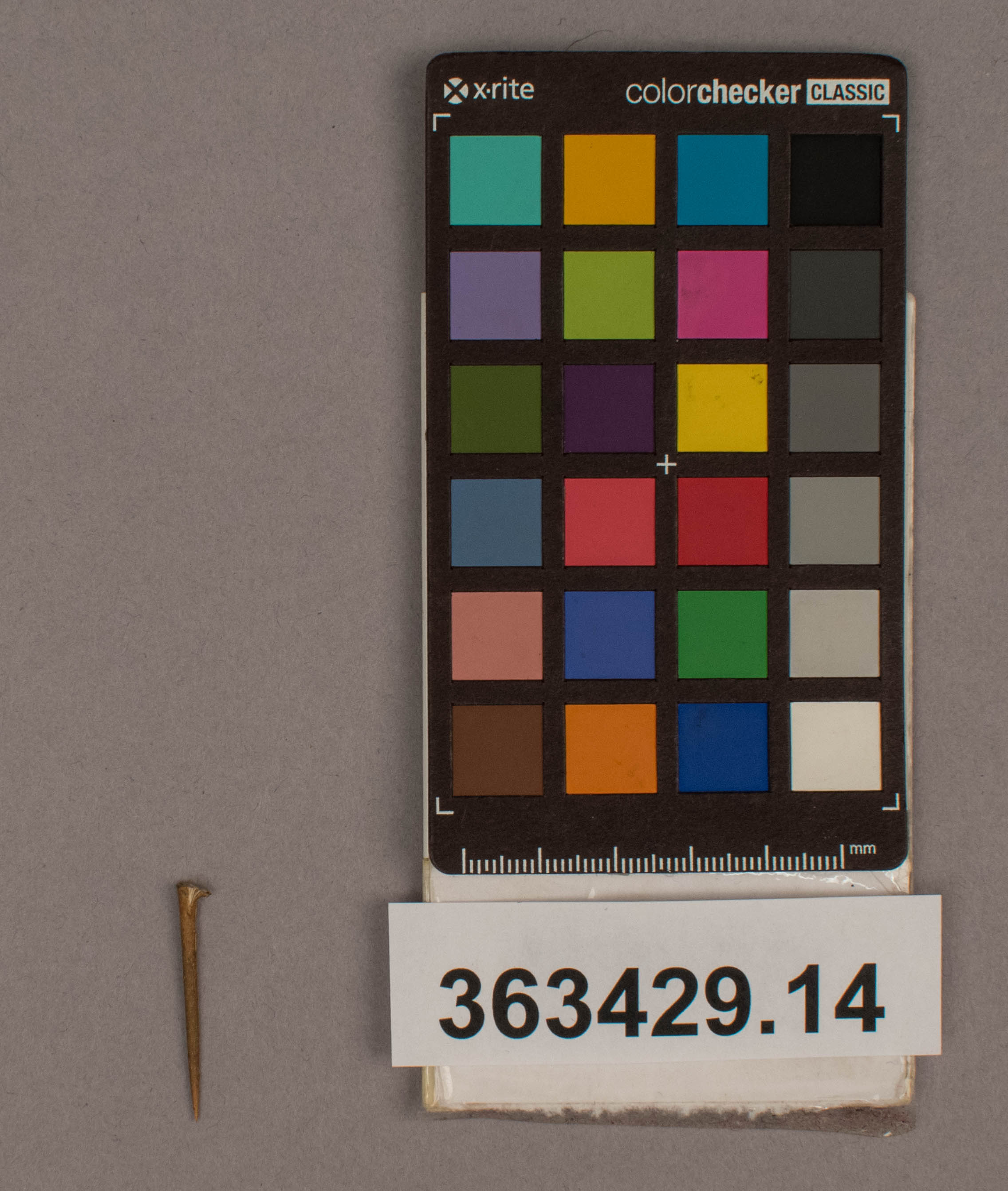 reference image, overall (c) Field Museum of Natural History - CC BY-NC 4.0