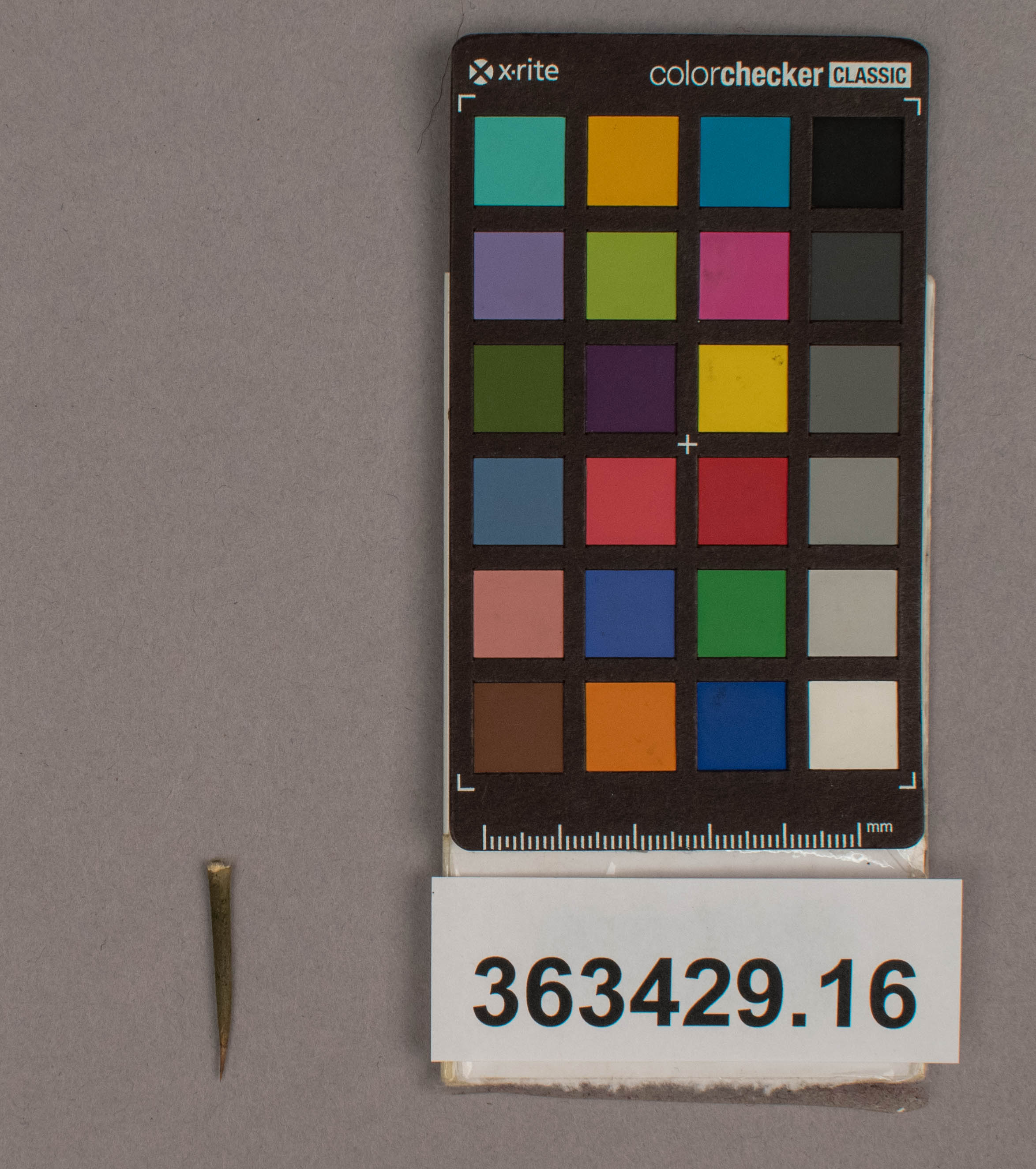 reference image, overall (c) Field Museum of Natural History - CC BY-NC 4.0