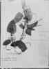 Dioscorea laxiflora image