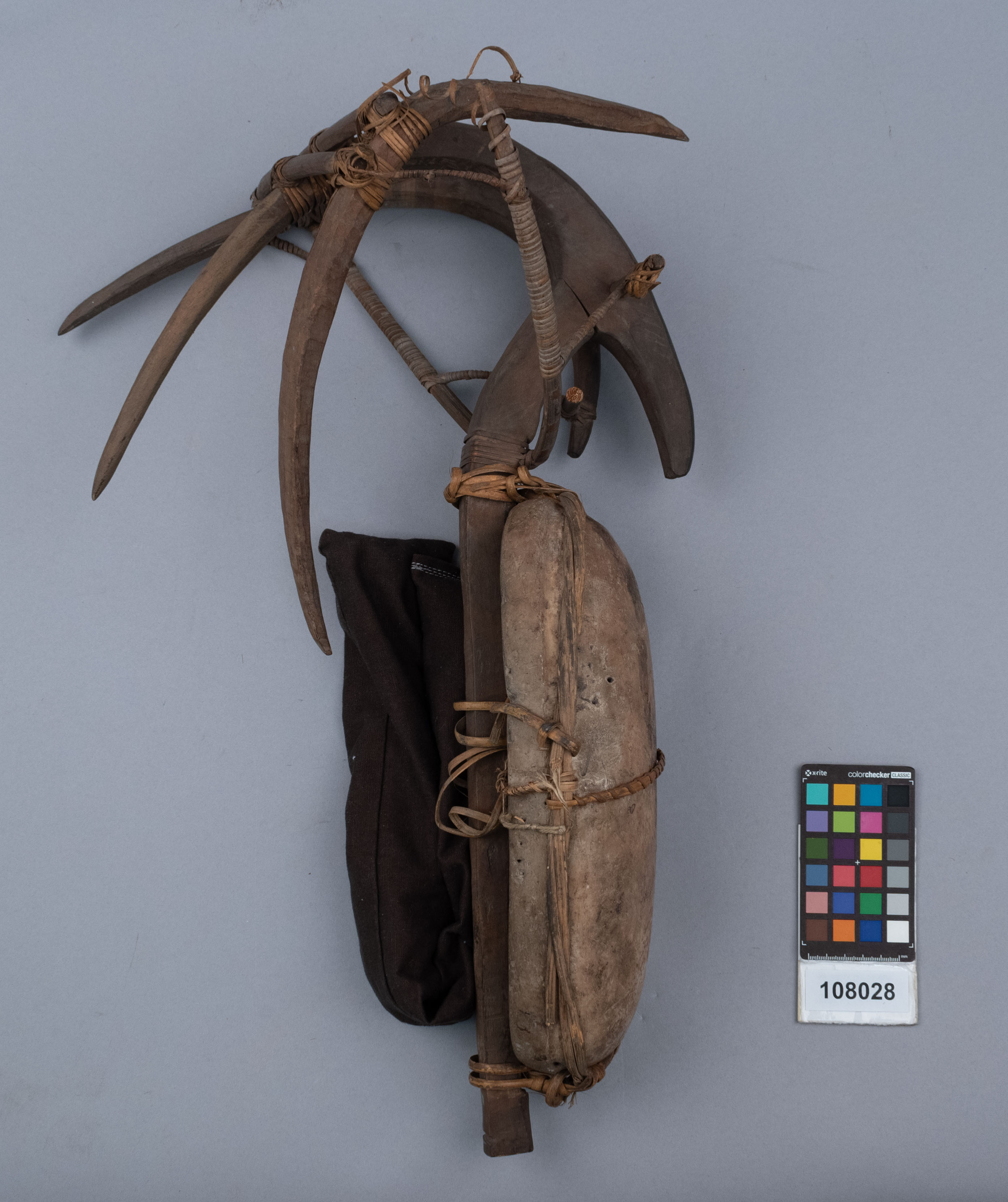 reference image, side 2 view (c) Field Museum of Natural History - CC BY-NC 4.0