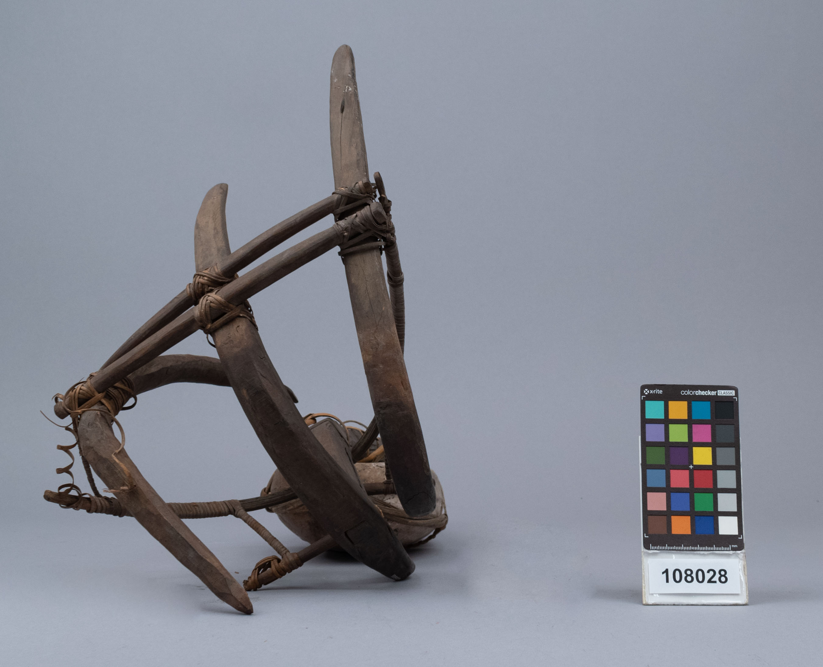 reference image, side 3 view (c) Field Museum of Natural History - CC BY-NC 4.0