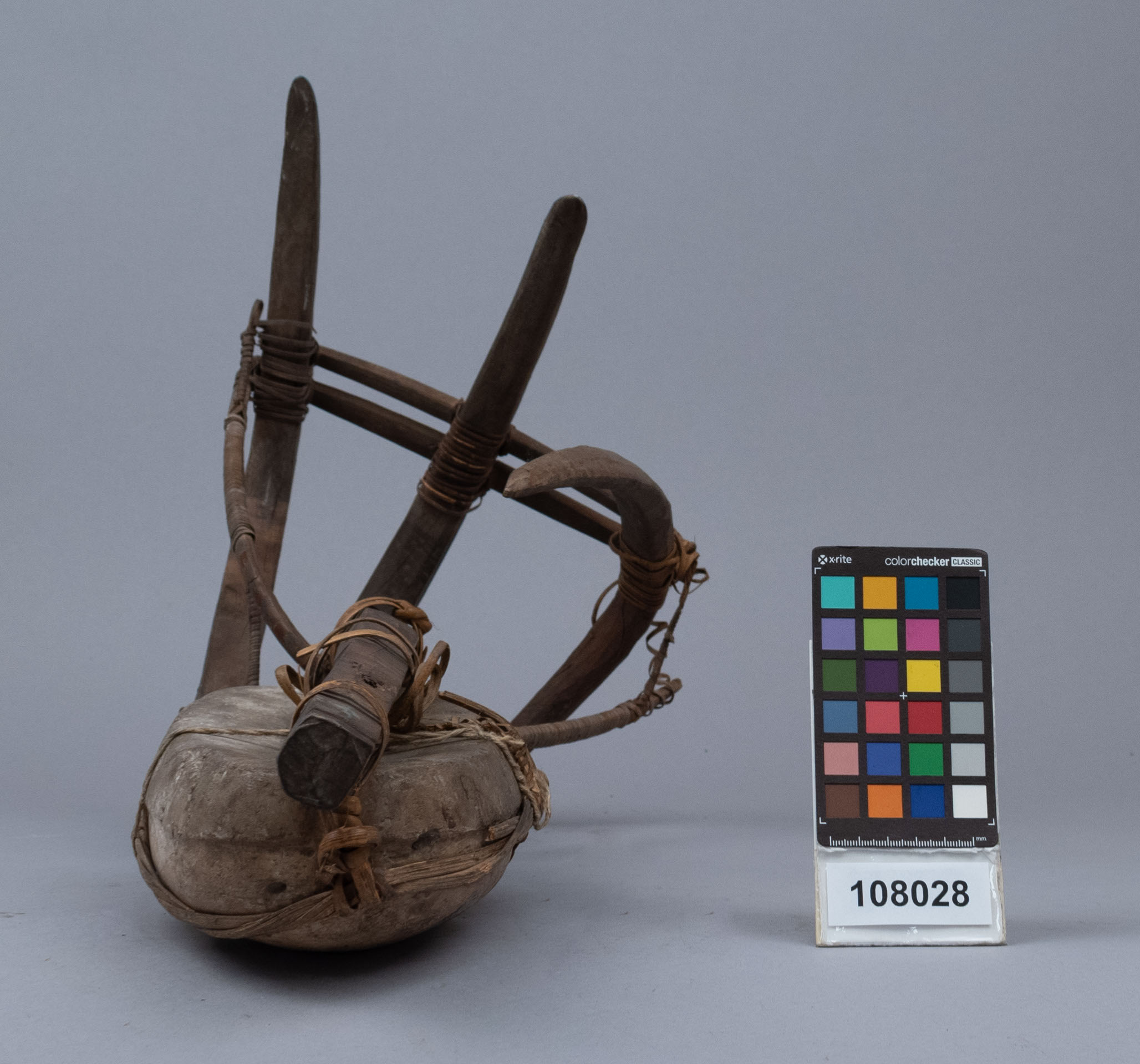 reference image, side 4 view (c) Field Museum of Natural History - CC BY-NC 4.0