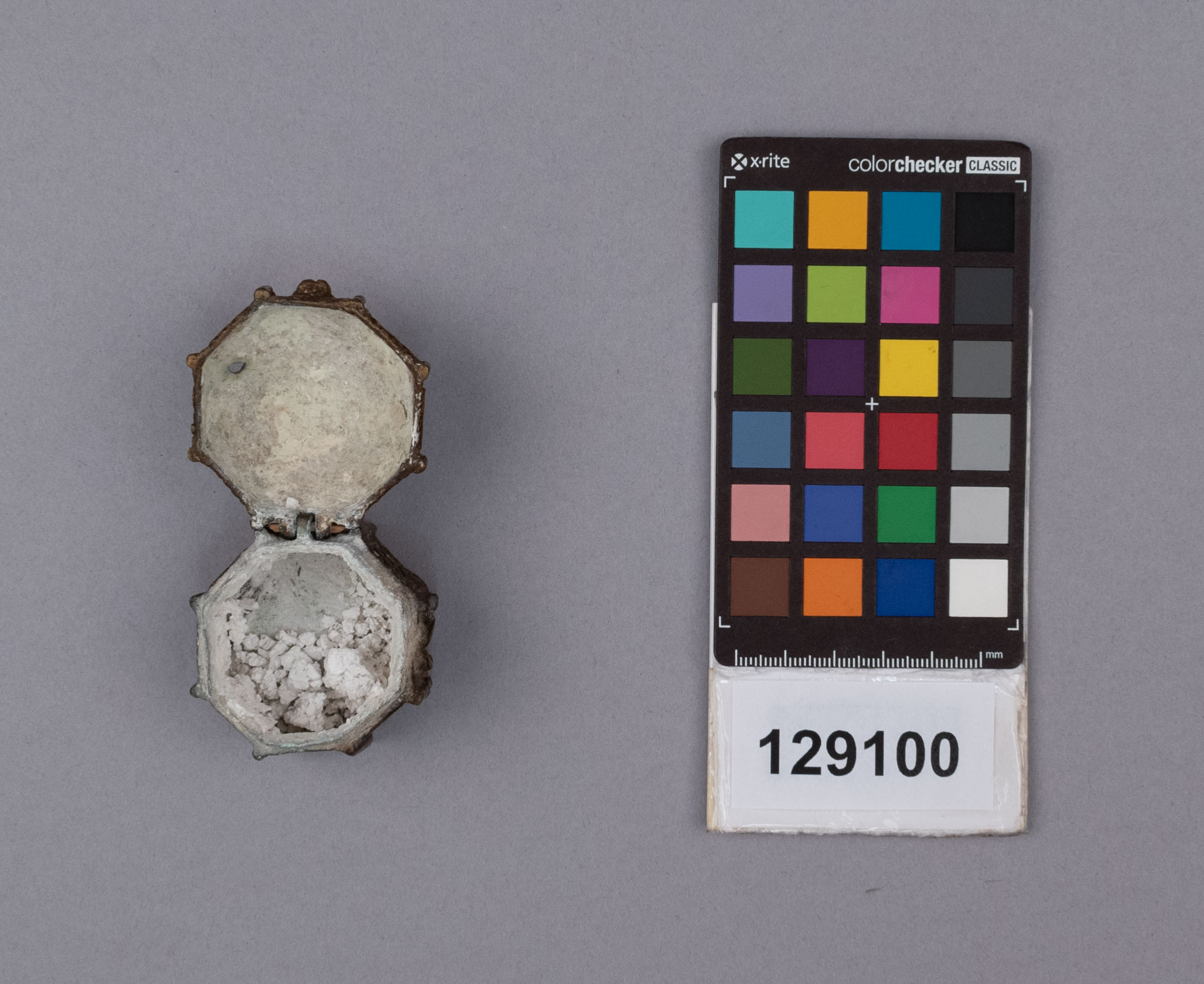 reference image, interior view (c) Field Museum of Natural History - CC BY-NC 4.0