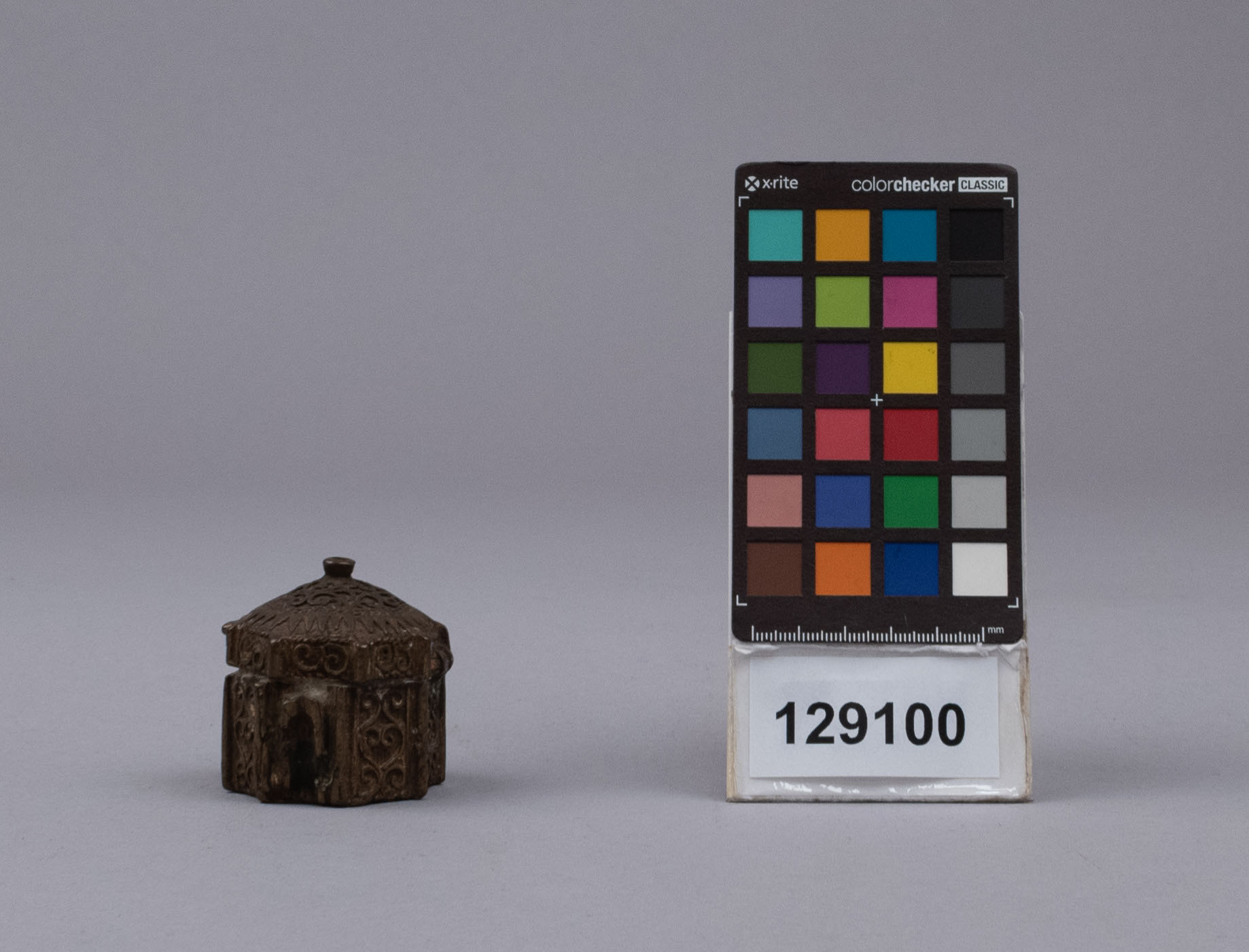 reference image, side2 view (c) Field Museum of Natural History - CC BY-NC 4.0