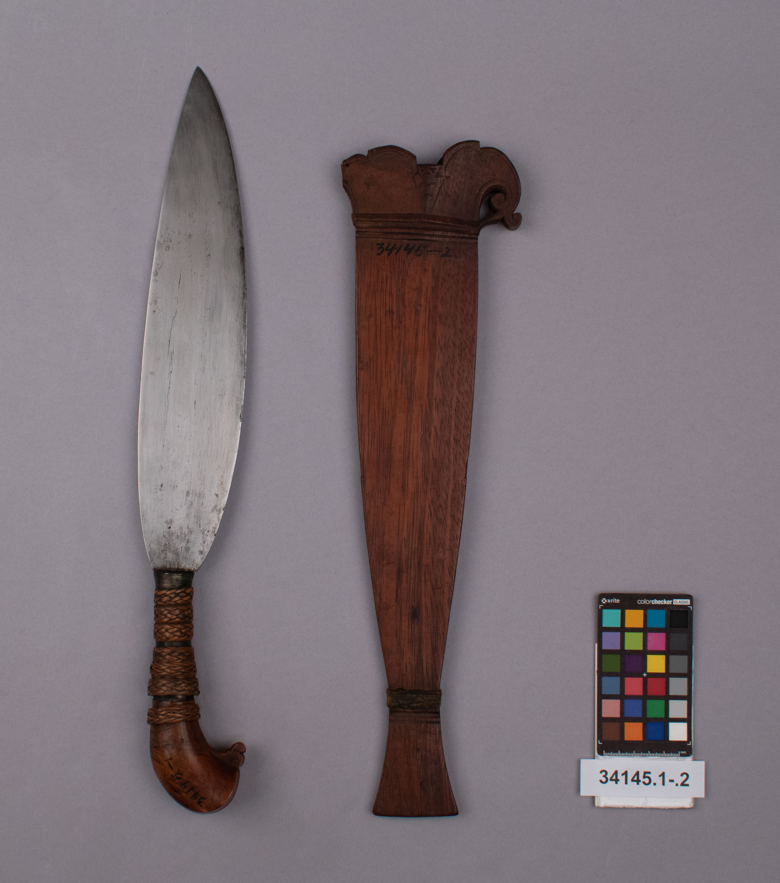 reference image, overall view (c) Field Museum of Natural History - CC BY-NC 4.0