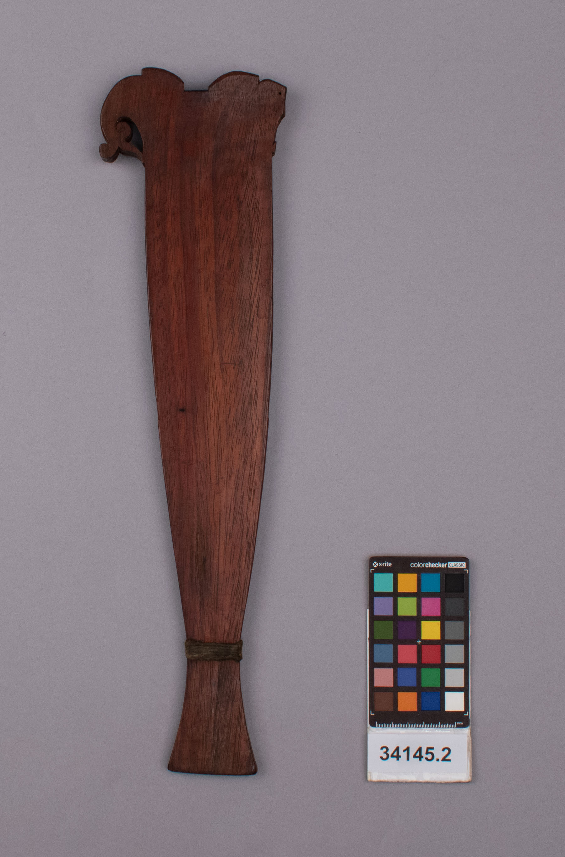 reference image, back view (c) Field Museum of Natural History - CC BY-NC 4.0