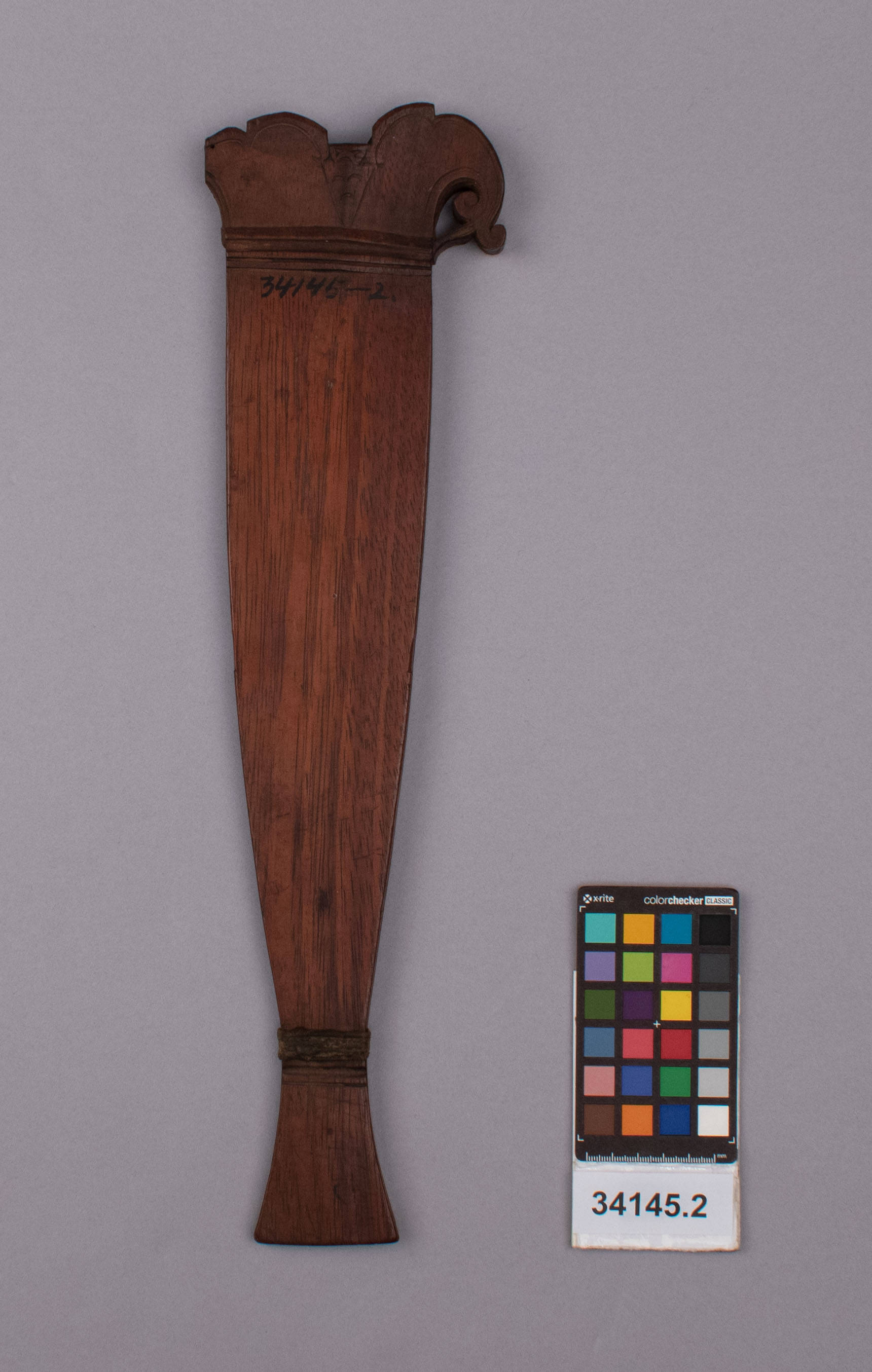 reference image, front view (c) Field Museum of Natural History - CC BY-NC 4.0