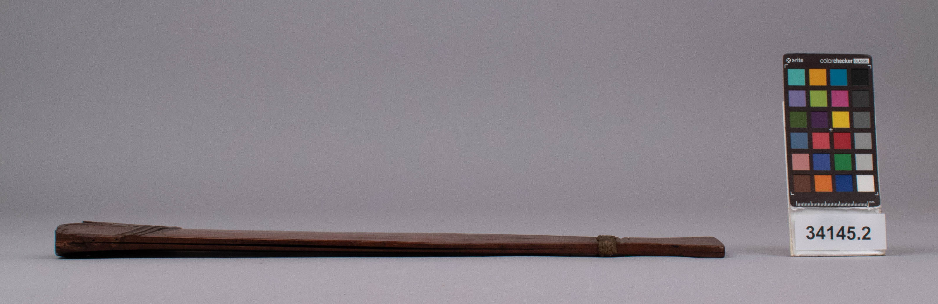 reference image, right view (c) Field Museum of Natural History - CC BY-NC 4.0