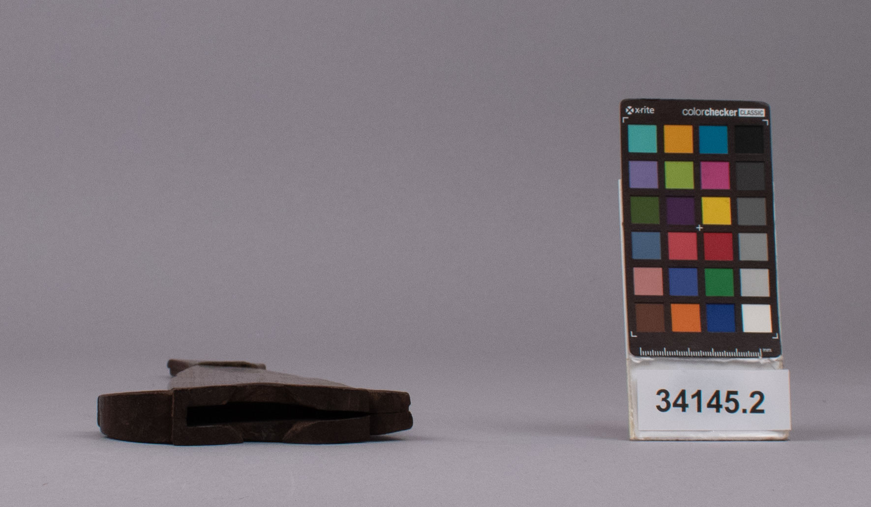 reference image, top view (c) Field Museum of Natural History - CC BY-NC 4.0