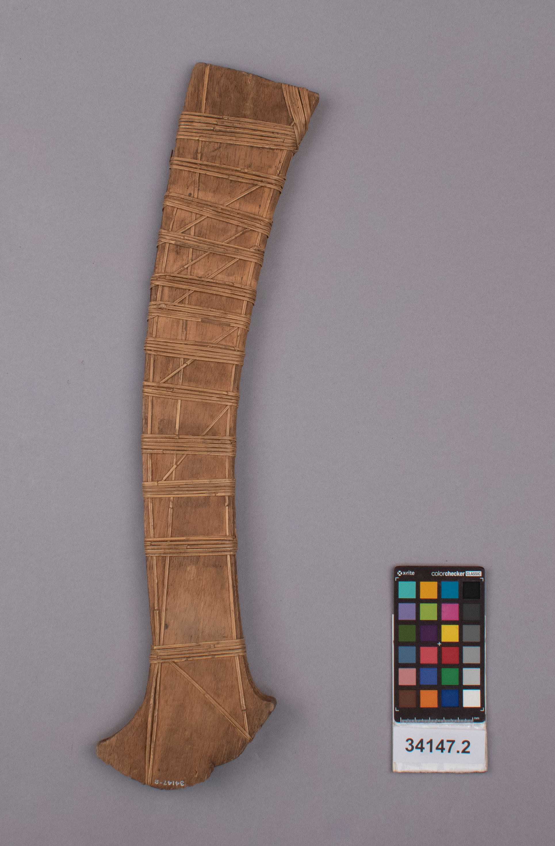 reference image, back view (c) Field Museum of Natural History - CC BY-NC 4.0