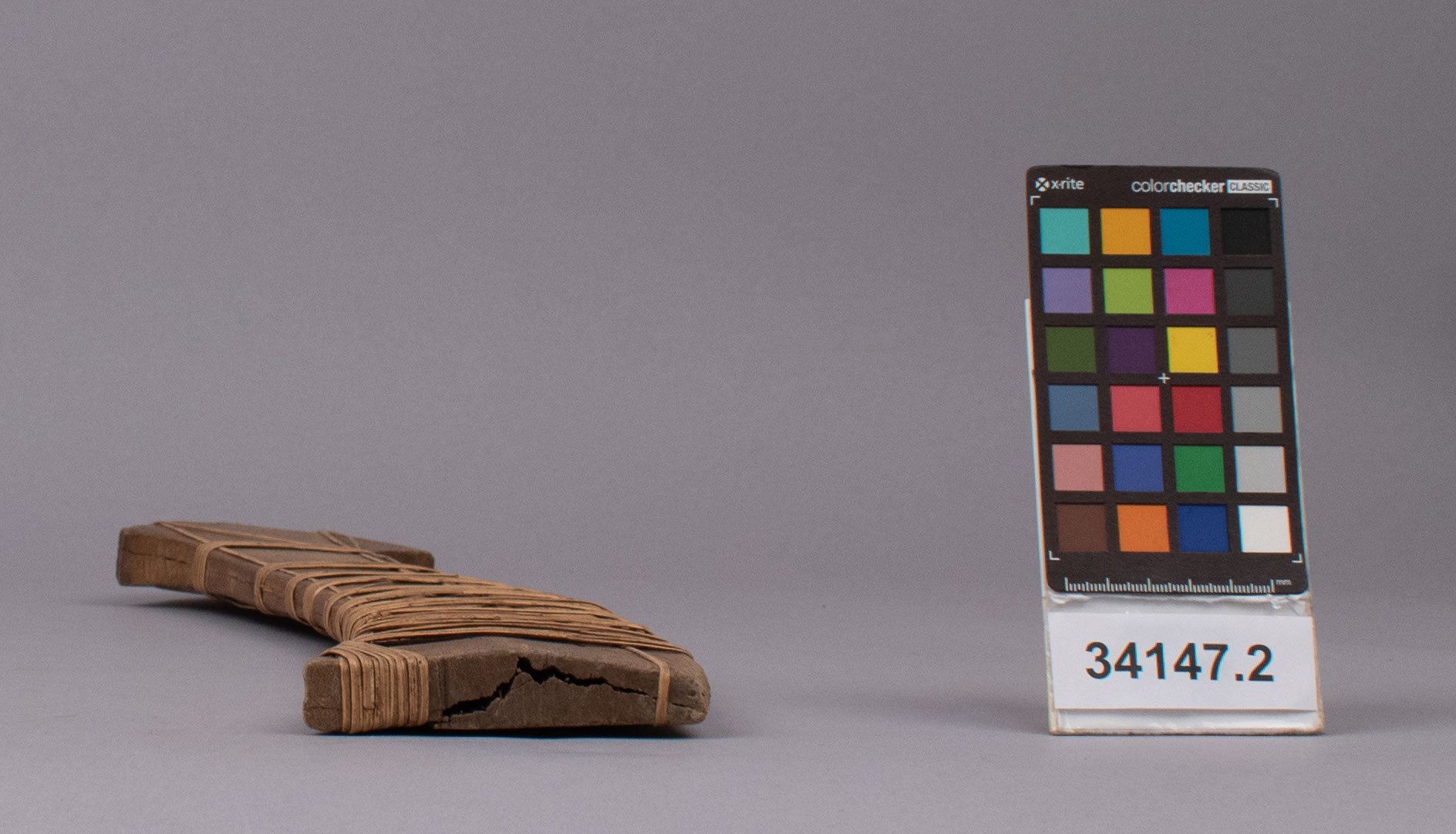 reference image, bottom view (c) Field Museum of Natural History - CC BY-NC 4.0