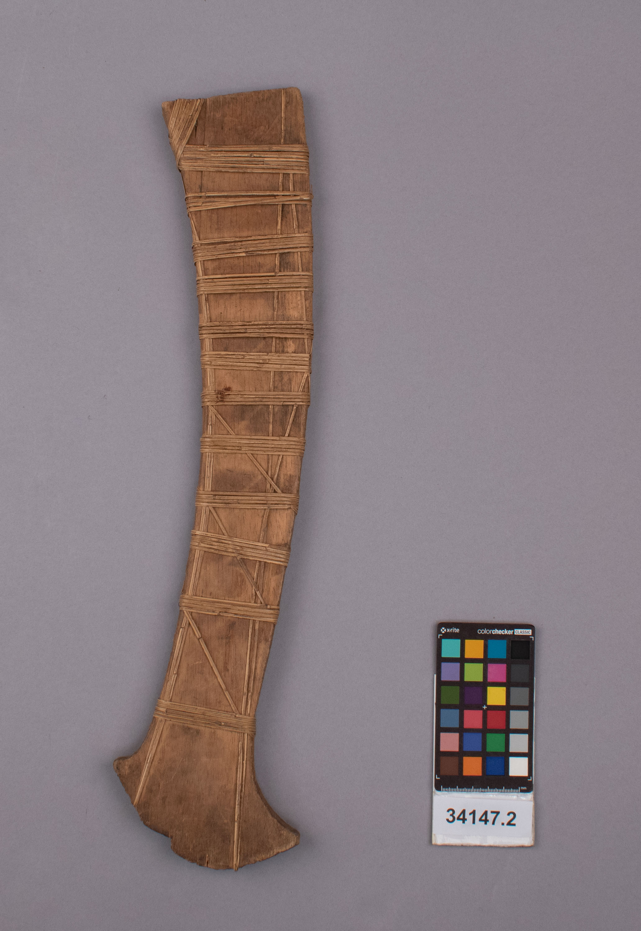 reference image, front view (c) Field Museum of Natural History - CC BY-NC 4.0