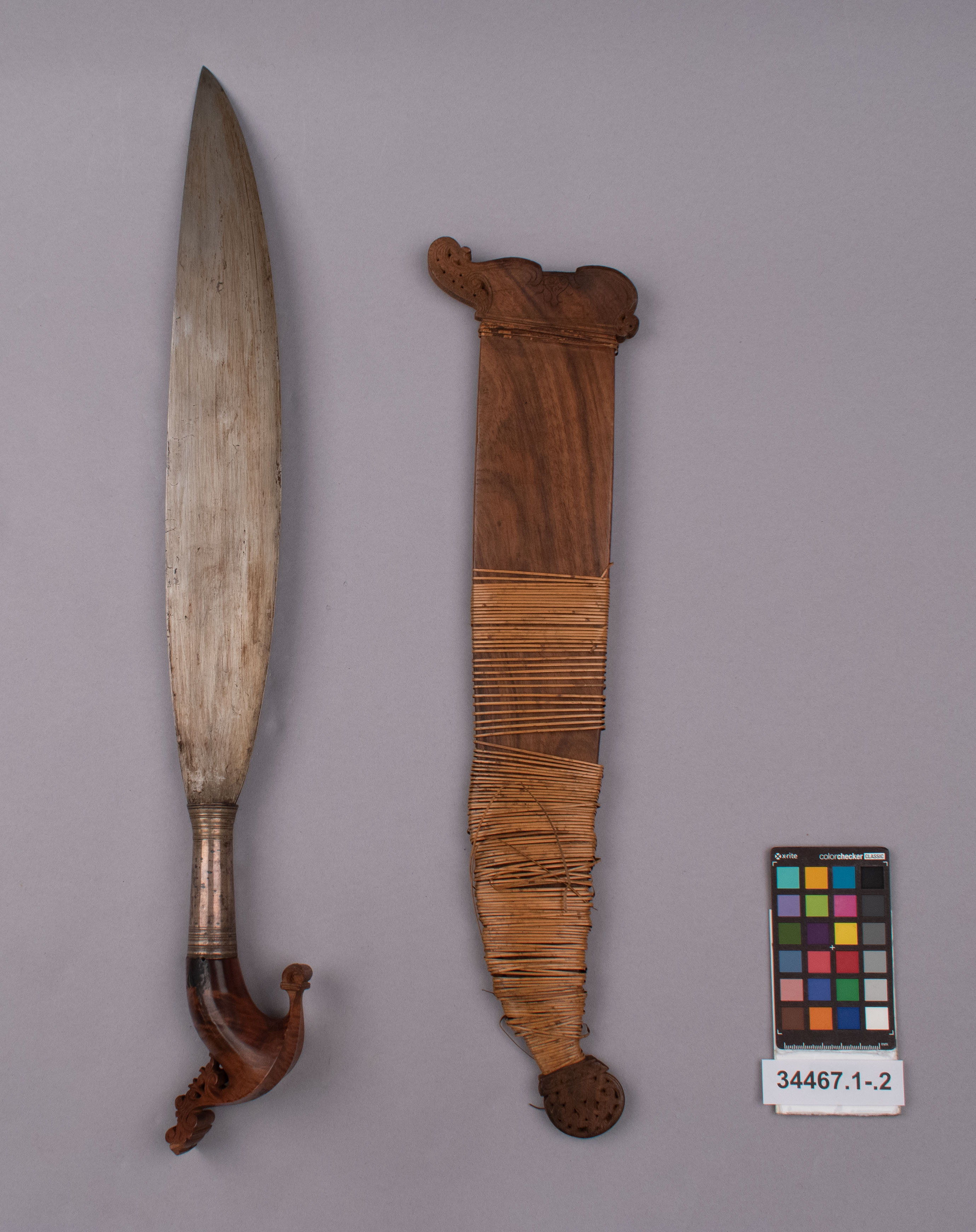 reference image, overall view (c) Field Museum of Natural History - CC BY-NC 4.0