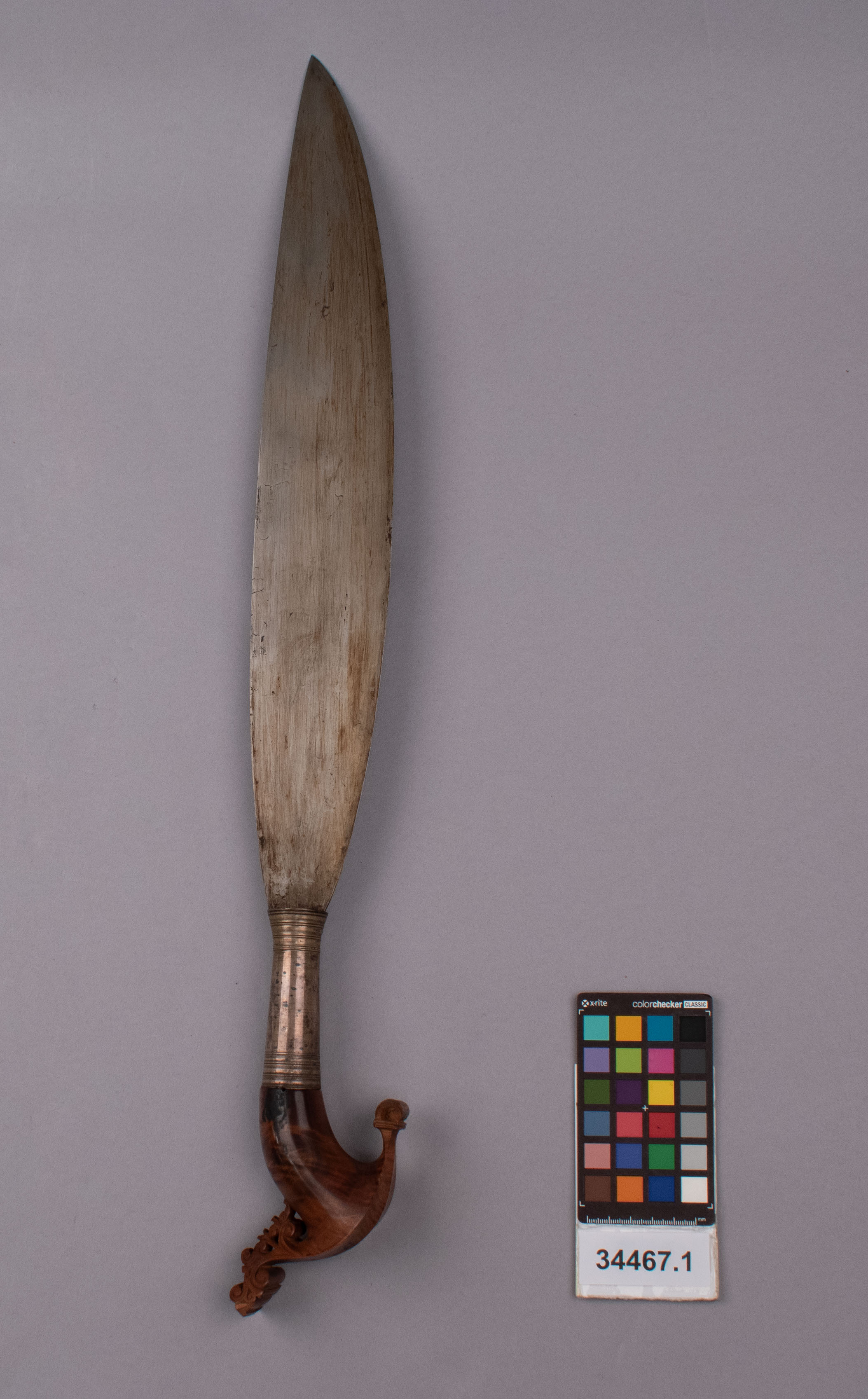 reference image, front view (c) Field Museum of Natural History - CC BY-NC 4.0