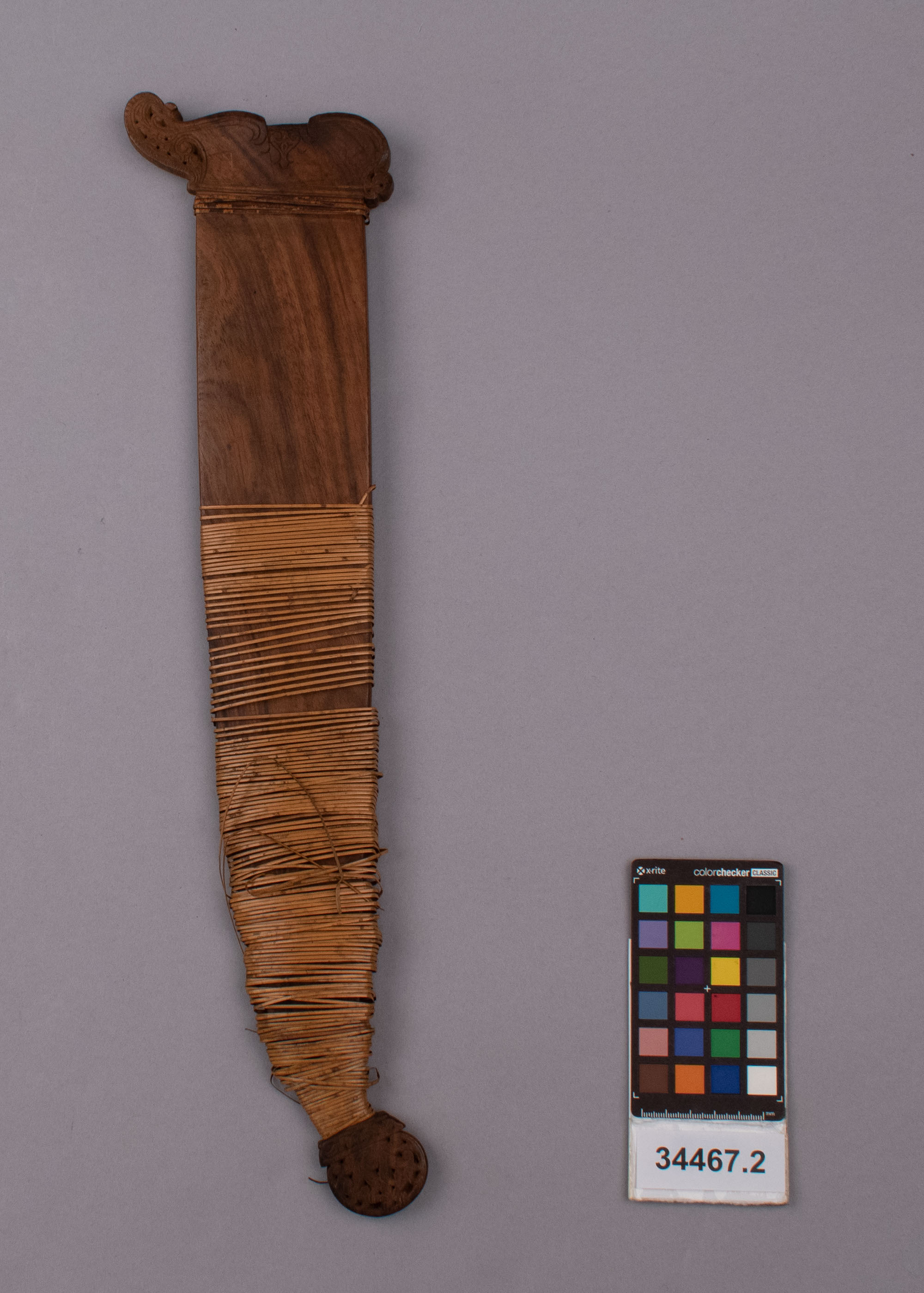 reference image, front view (c) Field Museum of Natural History - CC BY-NC 4.0