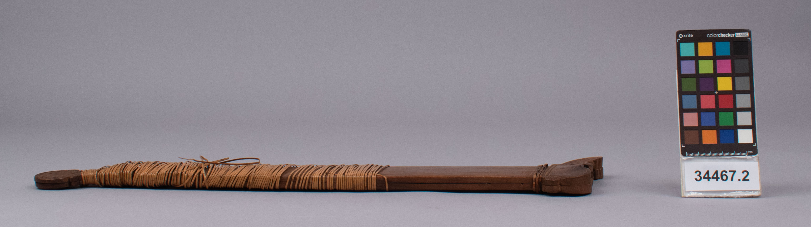 reference image, left view (c) Field Museum of Natural History - CC BY-NC 4.0