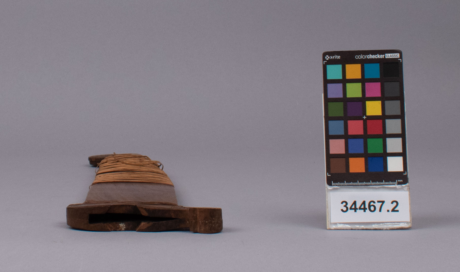 reference image, top view (c) Field Museum of Natural History - CC BY-NC 4.0