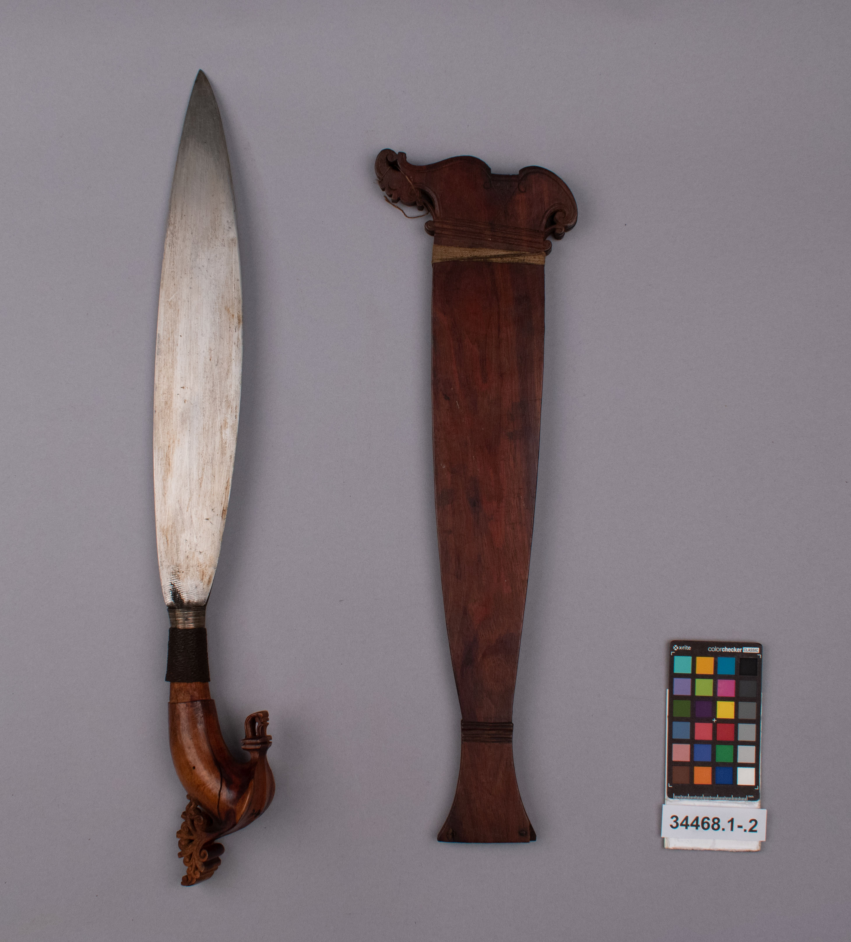 reference image, overall view (c) Field Museum of Natural History - CC BY-NC 4.0