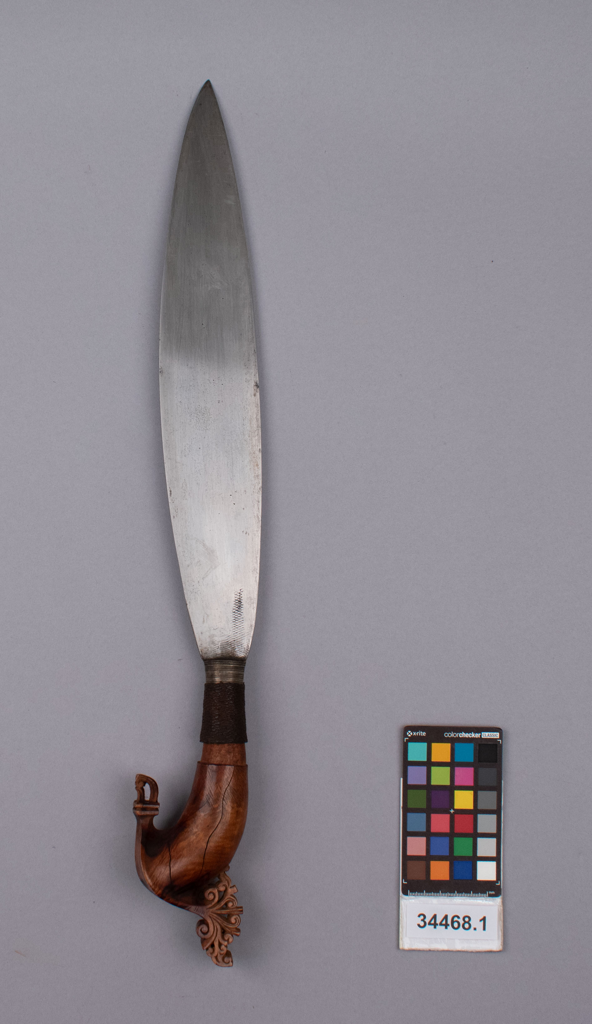 reference image, back view (c) Field Museum of Natural History - CC BY-NC 4.0