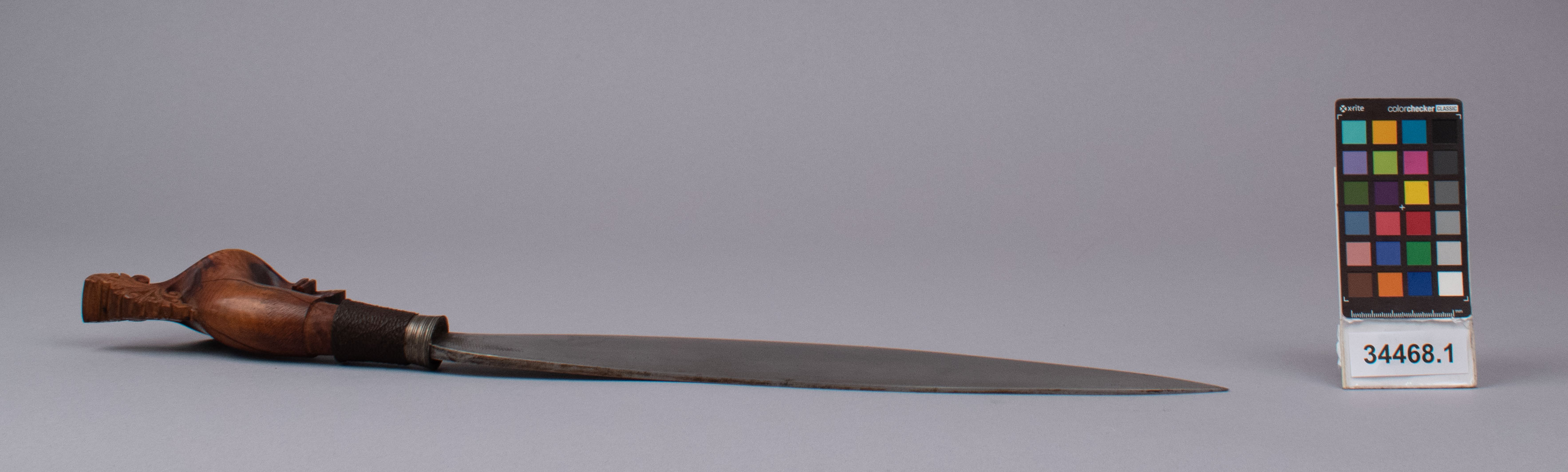 reference image, right view (c) Field Museum of Natural History - CC BY-NC 4.0