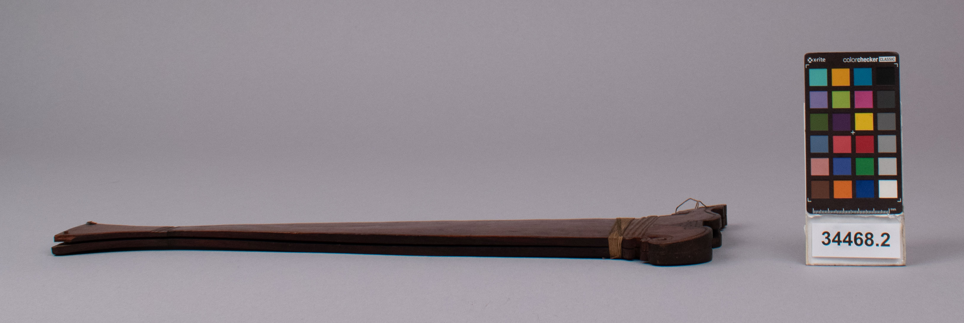 reference image, left view (c) Field Museum of Natural History - CC BY-NC 4.0