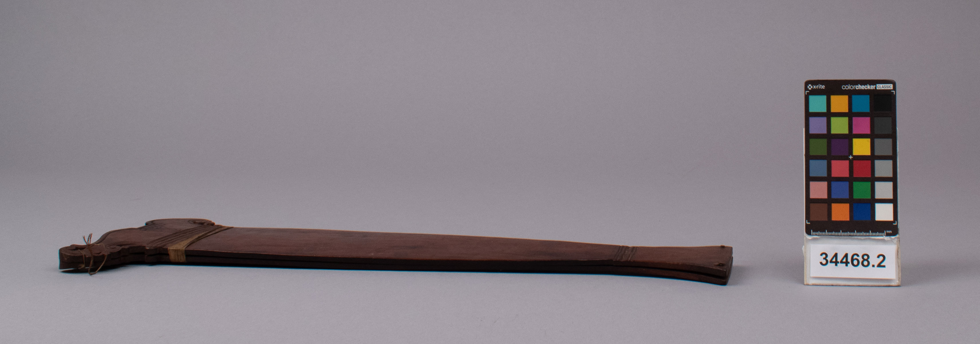 reference image, right view (c) Field Museum of Natural History - CC BY-NC 4.0