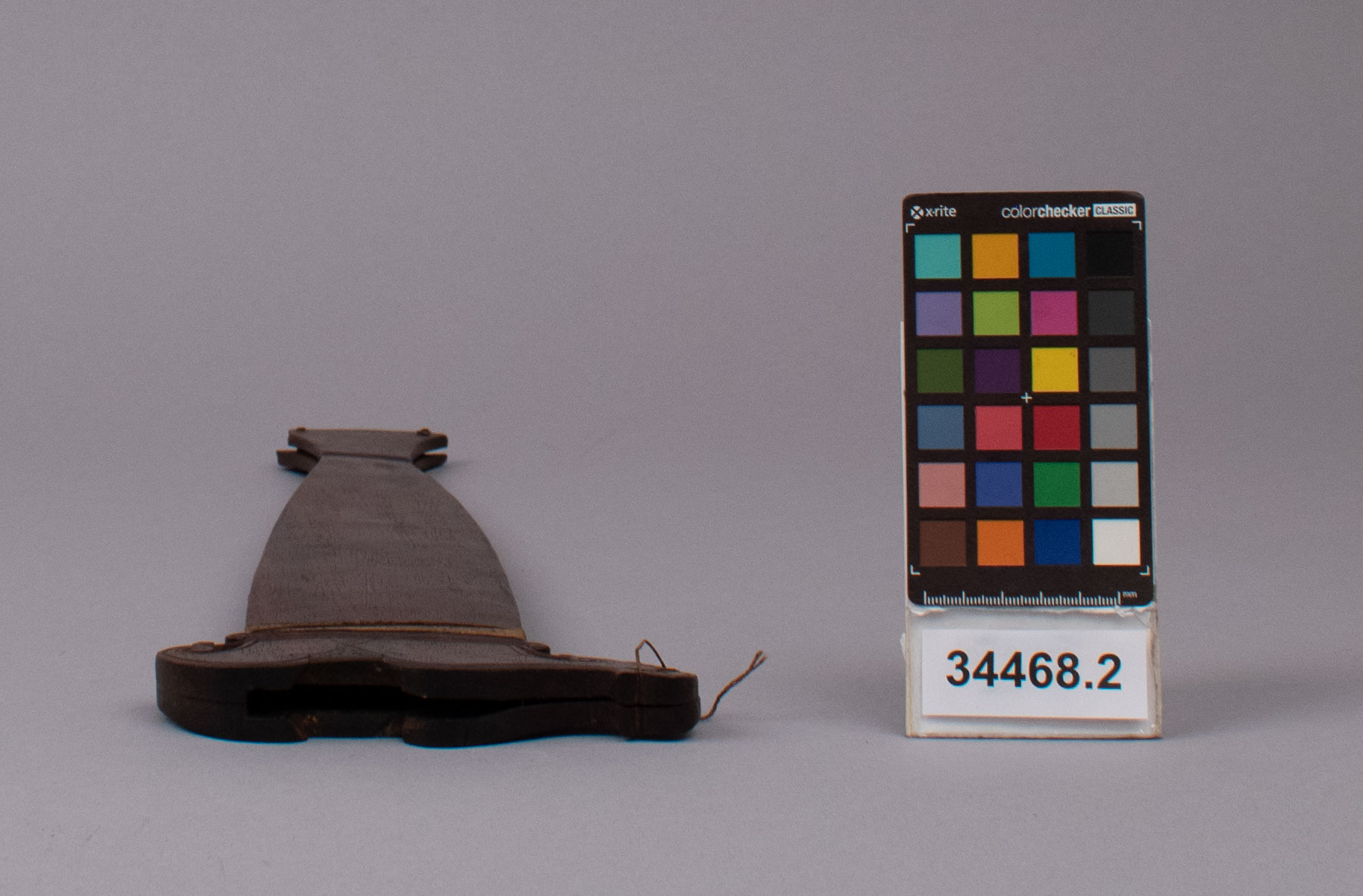 reference image, top view (c) Field Museum of Natural History - CC BY-NC 4.0