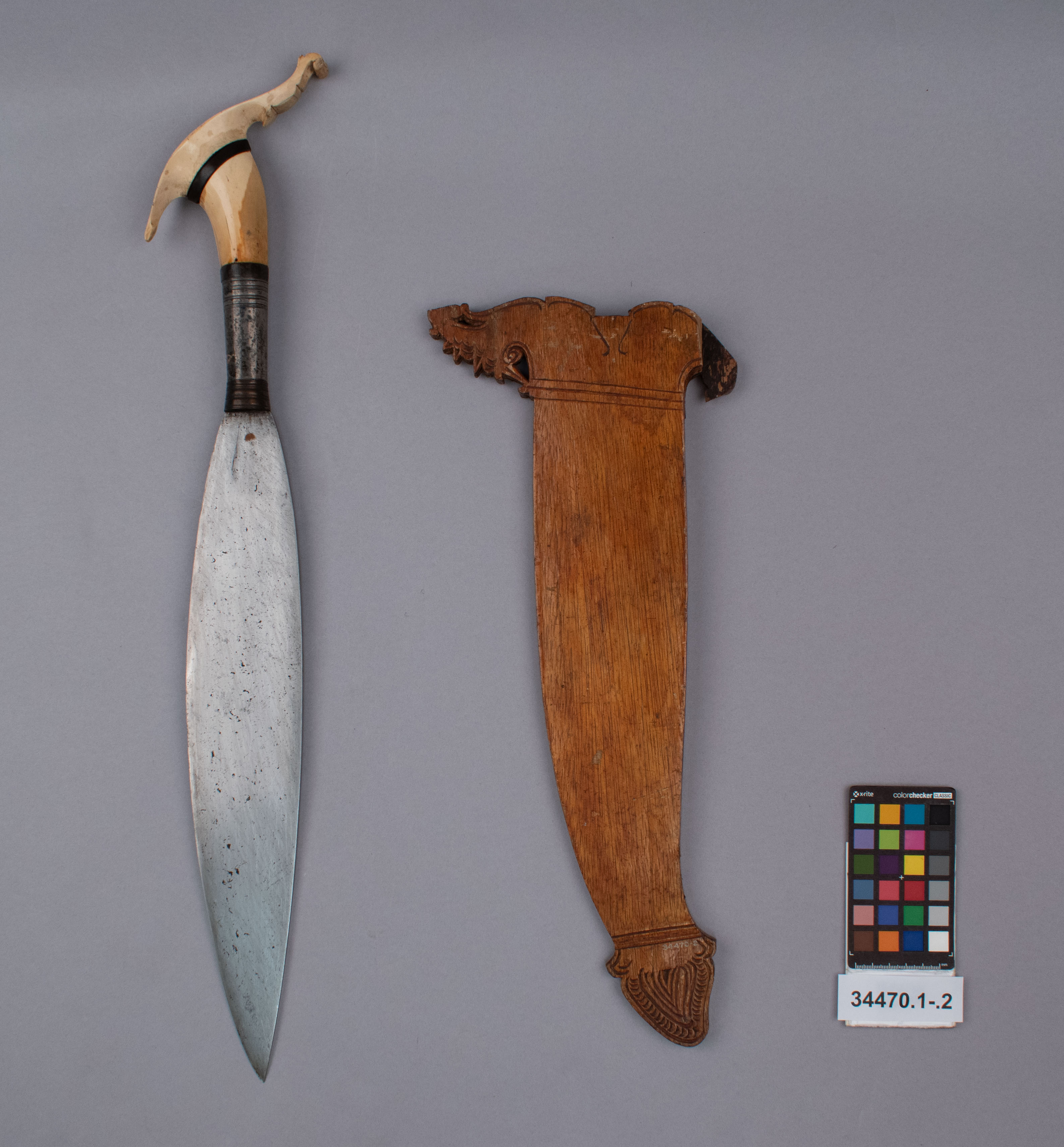 reference image, overall view (c) Field Museum of Natural History - CC BY-NC 4.0