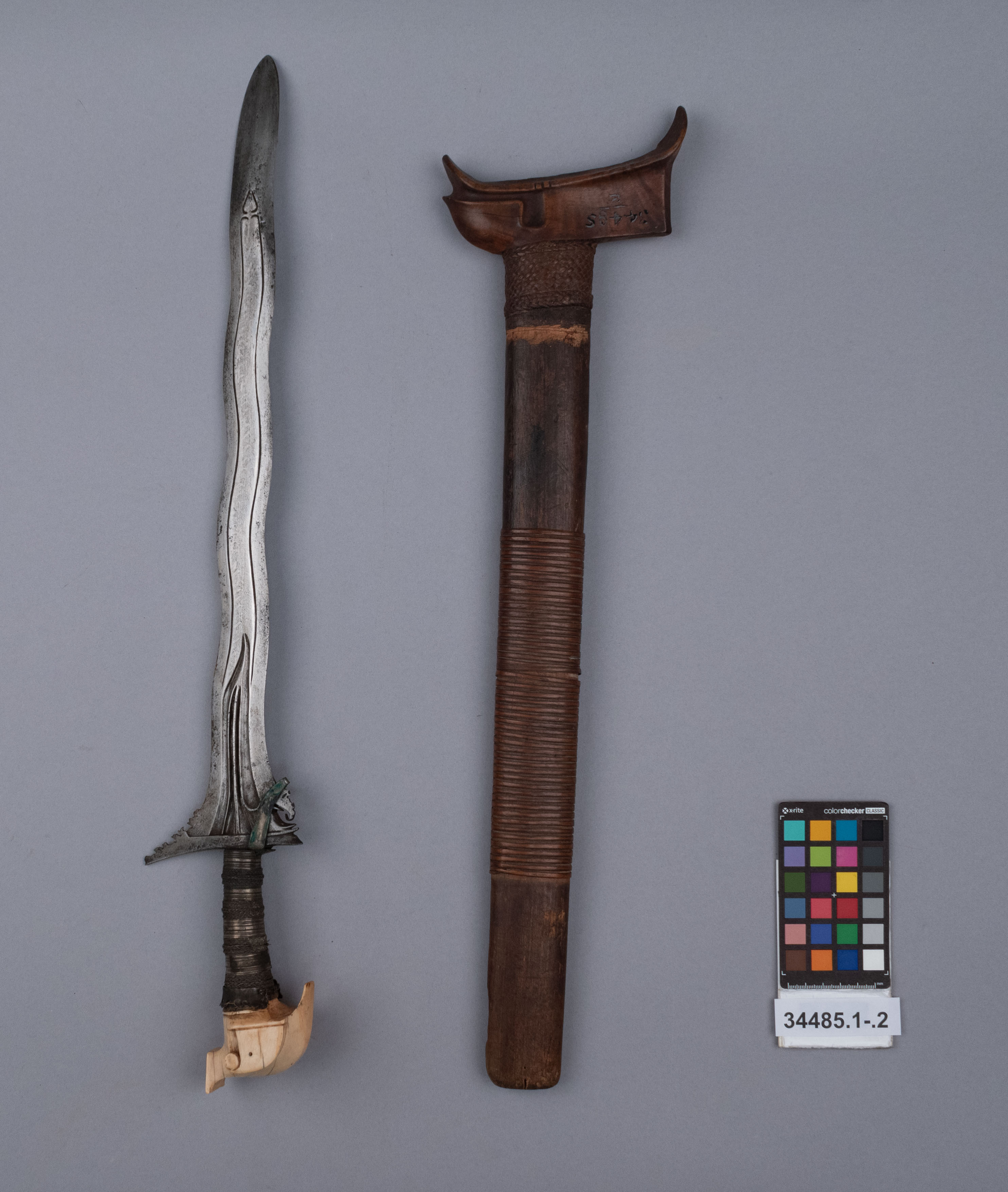 reference image, overall view (c) Field Museum of Natural History - CC BY-NC 4.0