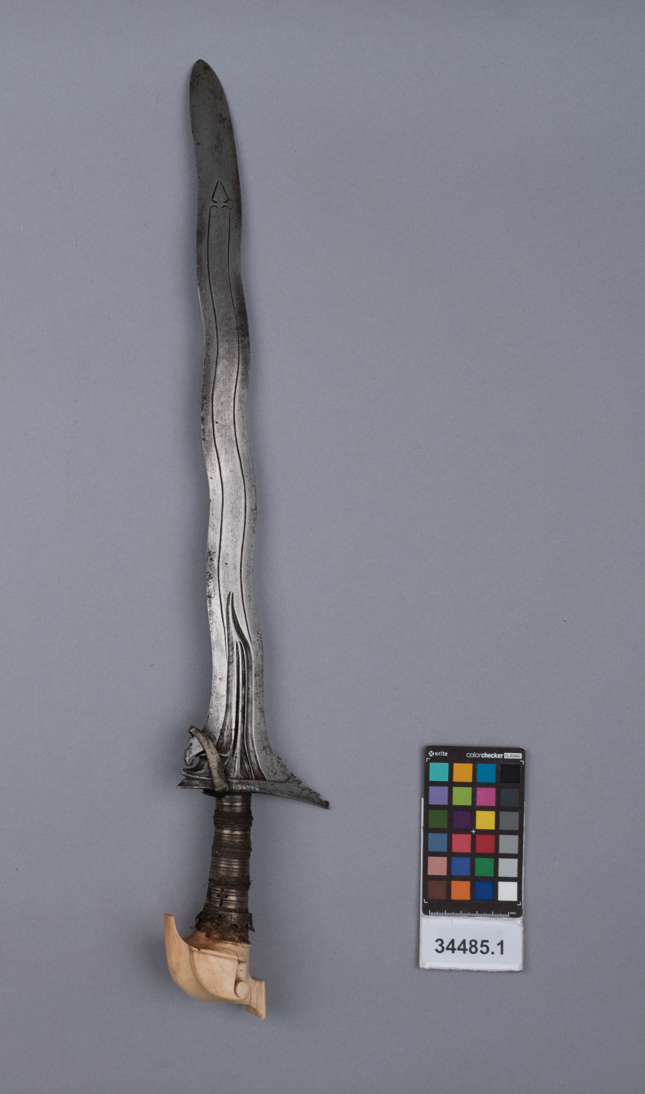 reference image, back view (c) Field Museum of Natural History - CC BY-NC 4.0